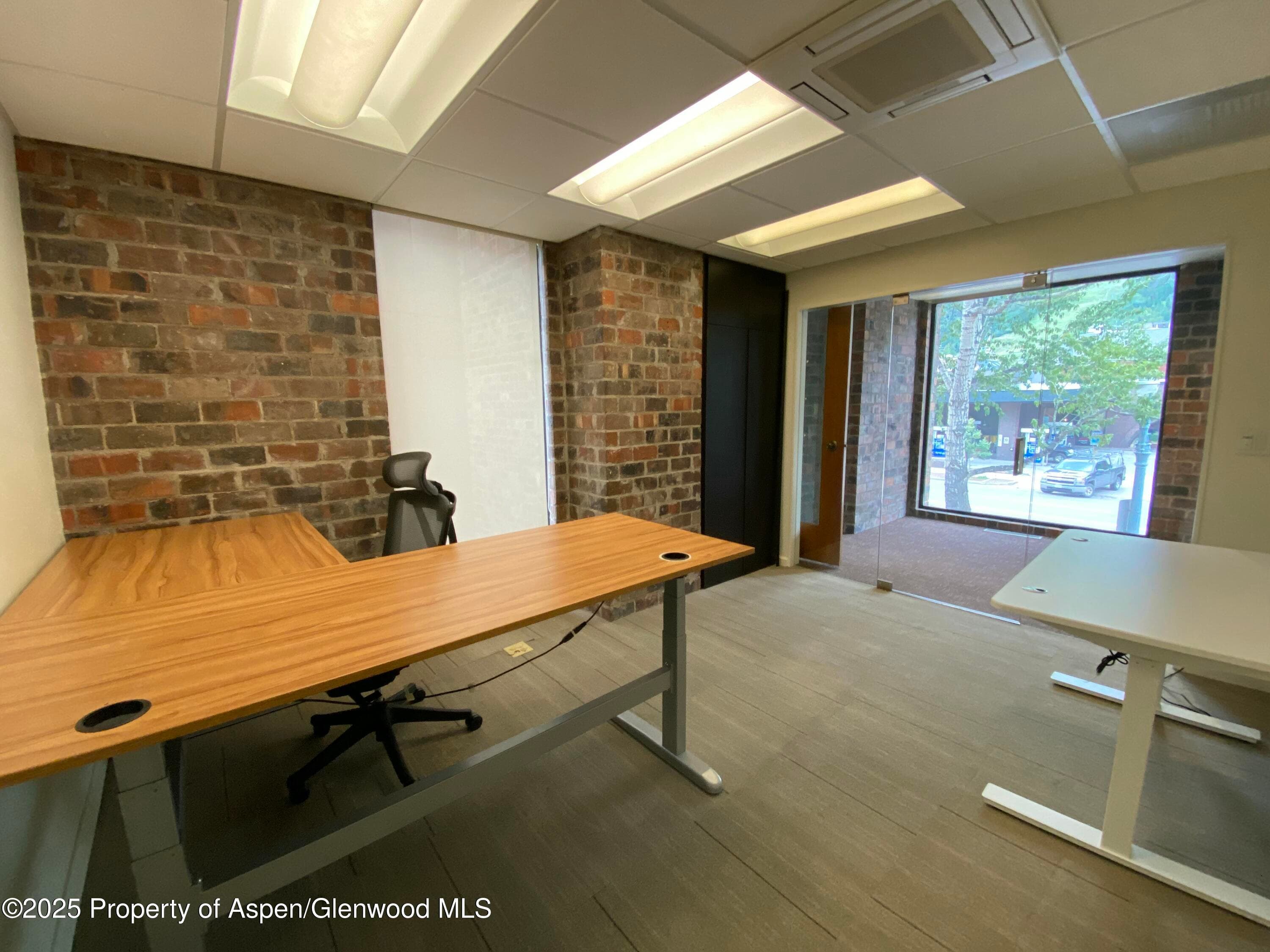 420 E Main Street 200, Aspen, CO 81611 - Photo 3