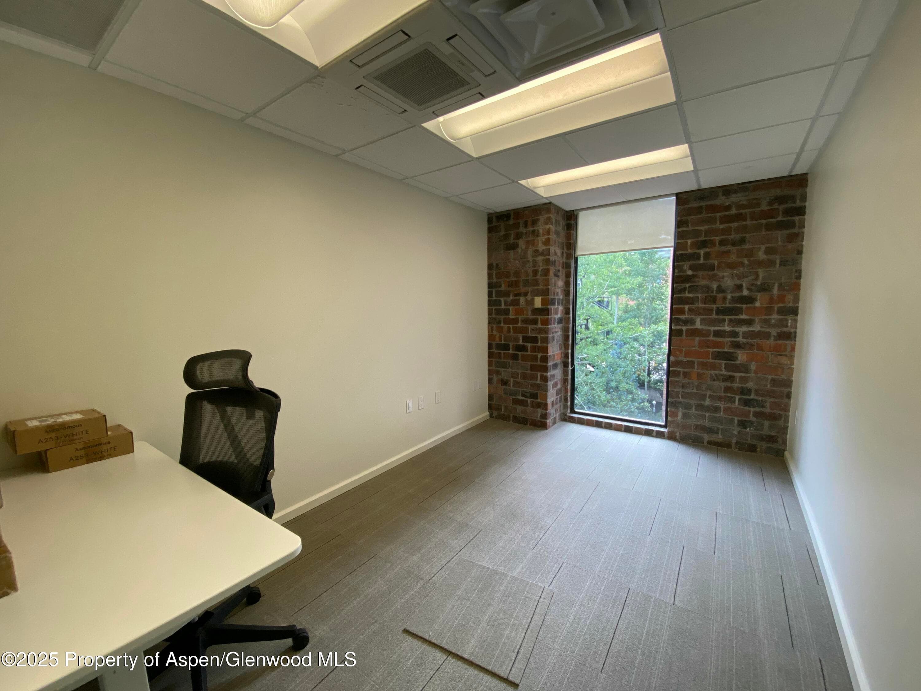 420 E Main Street 200, Aspen, CO 81611 - Photo 4