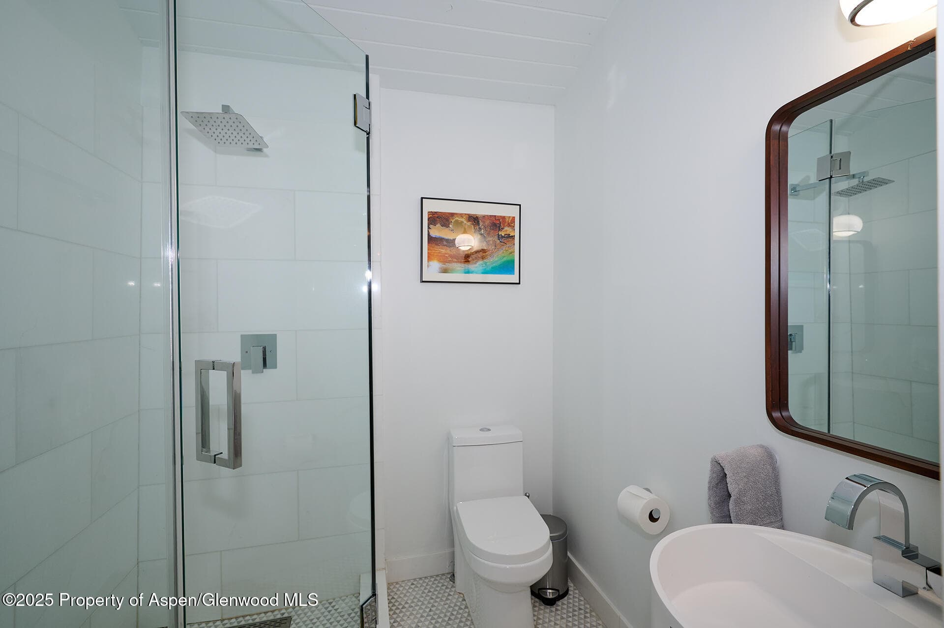 809 S Aspen Street #7, Aspen, CO 81611 - Photo 24