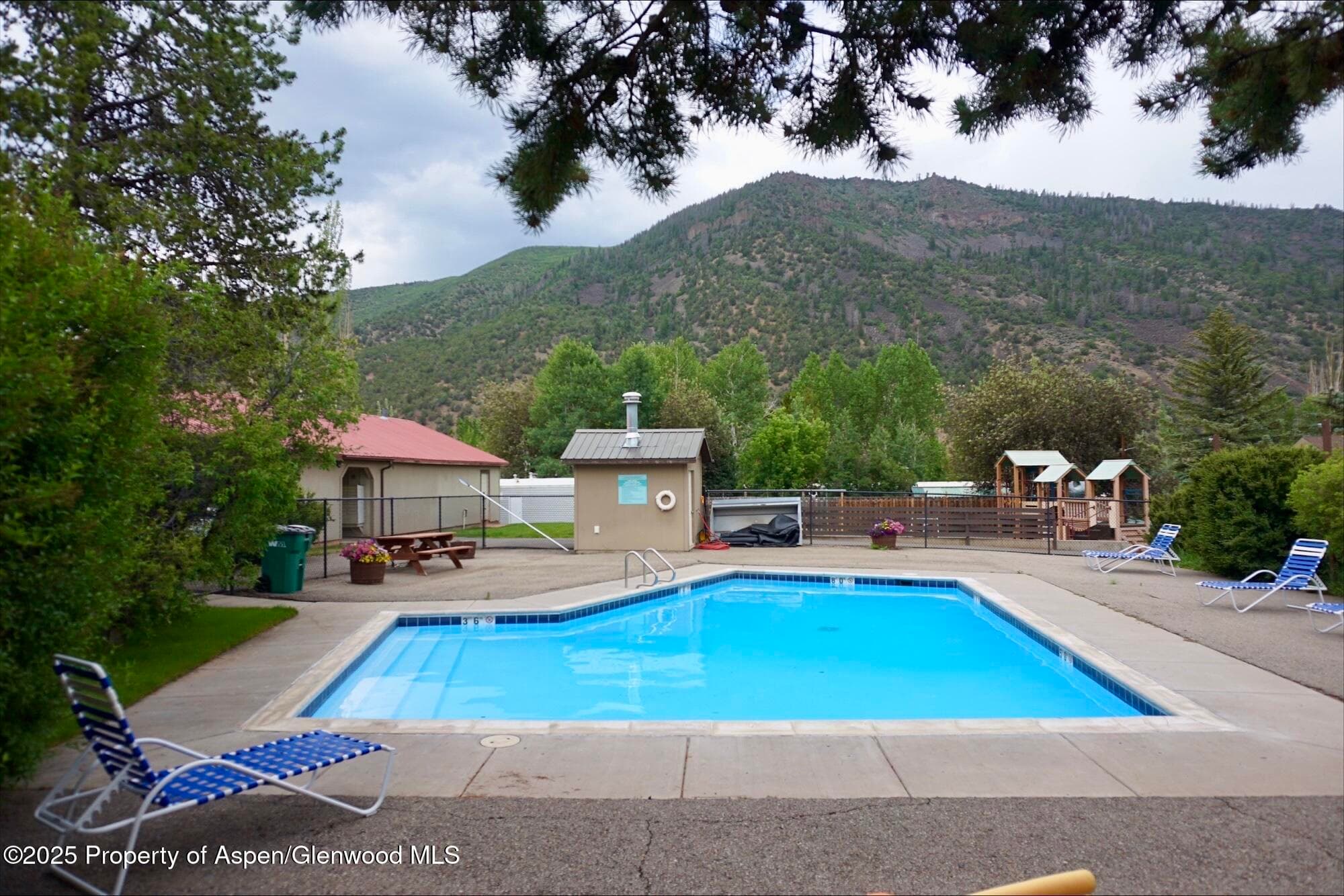 30 Half Inch, Aspen, CO 81611 - Photo 43