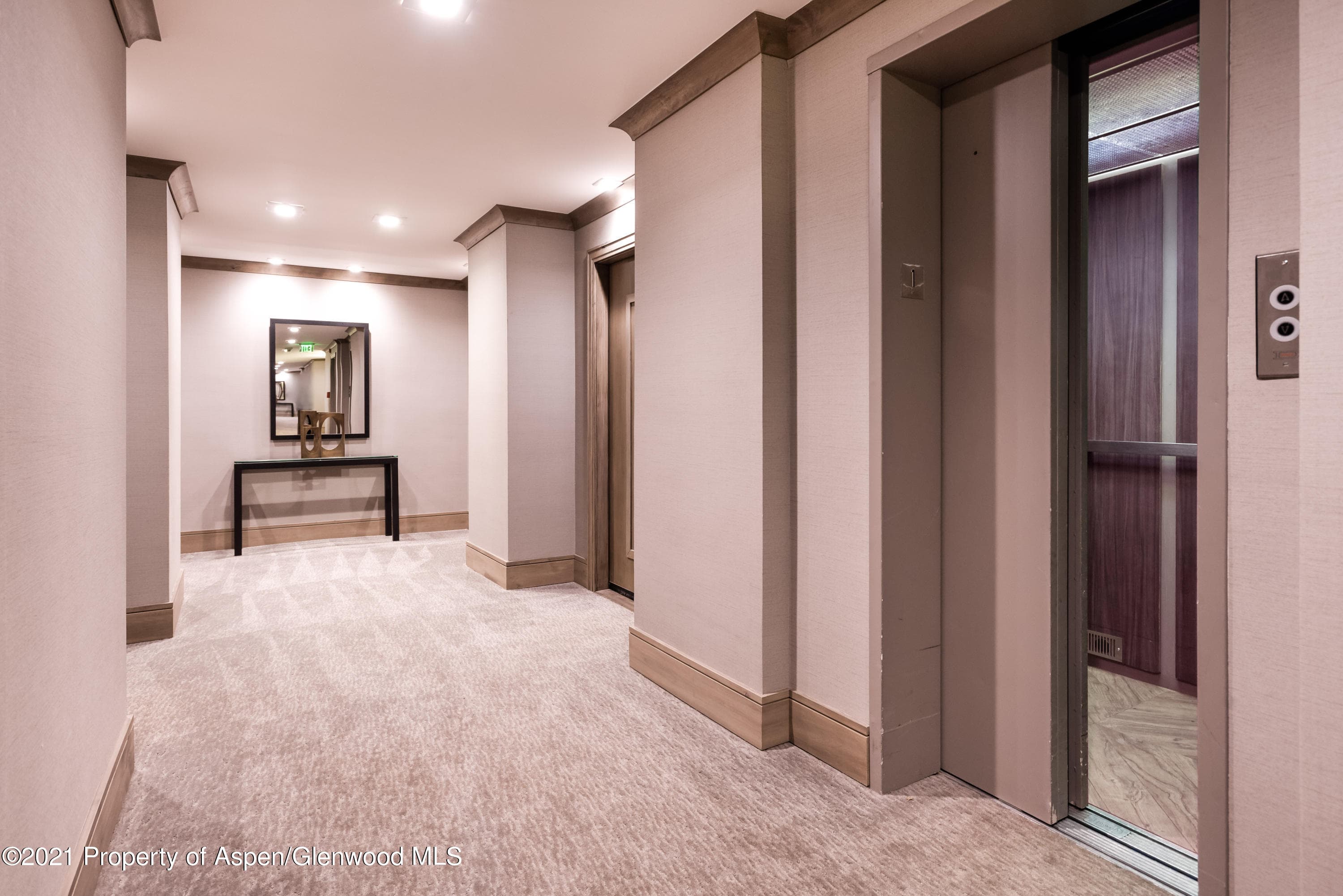 205 E Durant Avenue 3e, Aspen, CO 81611 - Photo 18
