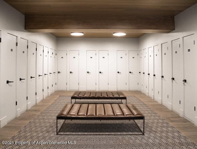 205 E Durant Avenue 3e, Aspen, CO 81611 - Photo 19
