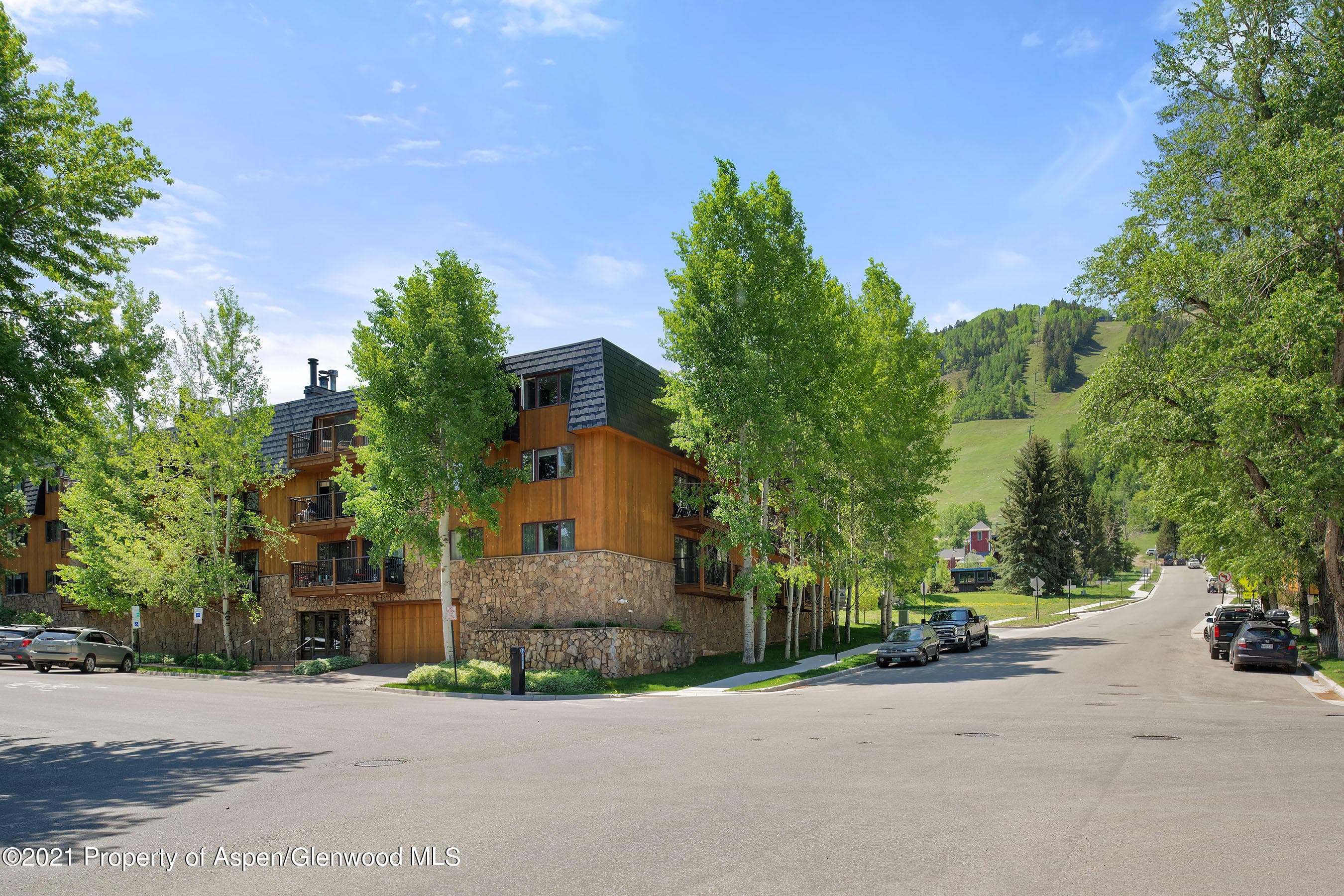 205 E Durant Avenue 3e, Aspen, CO 81611 - Photo 22