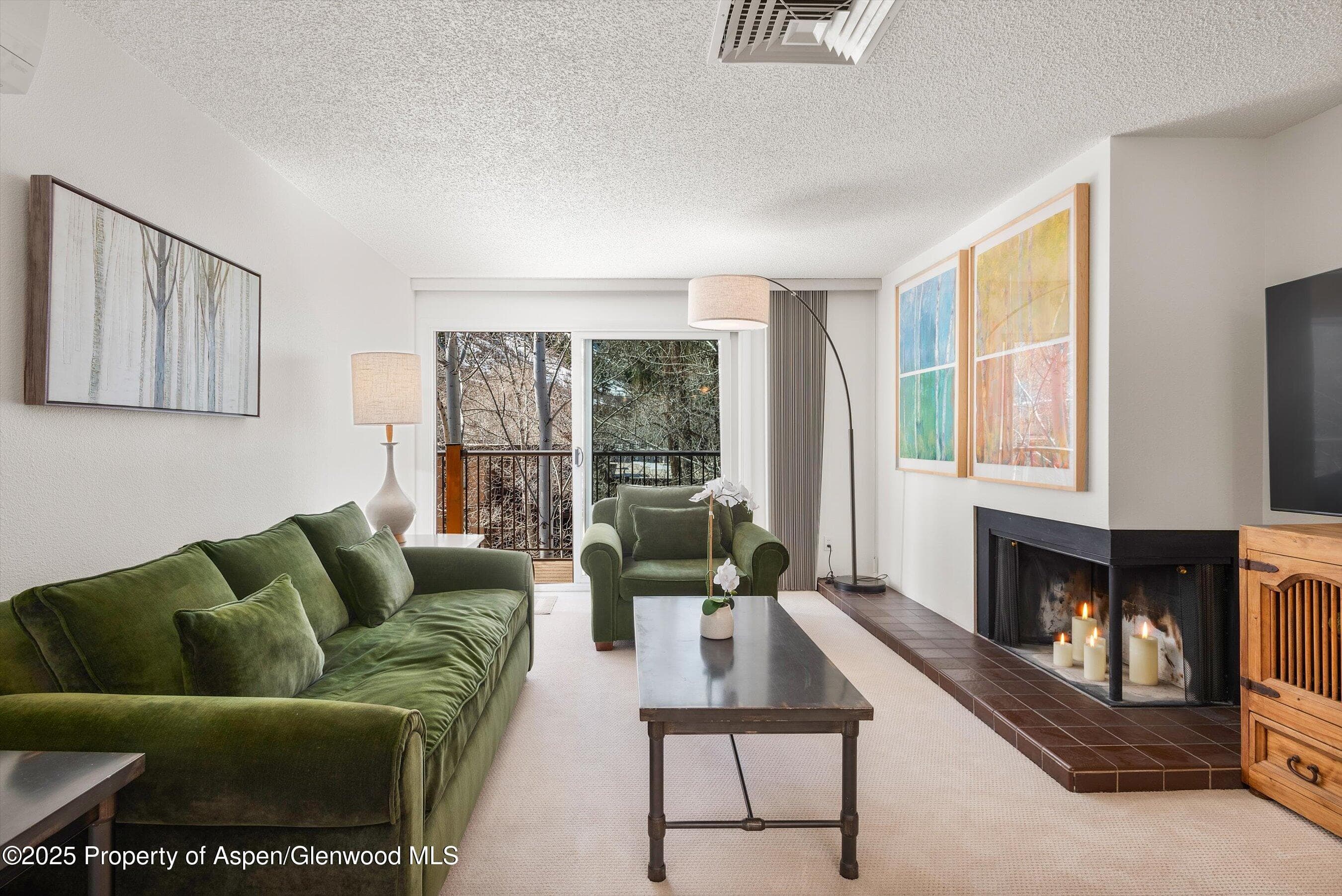 205 E Durant Avenue 3e, Aspen, CO 81611 - Photo 2