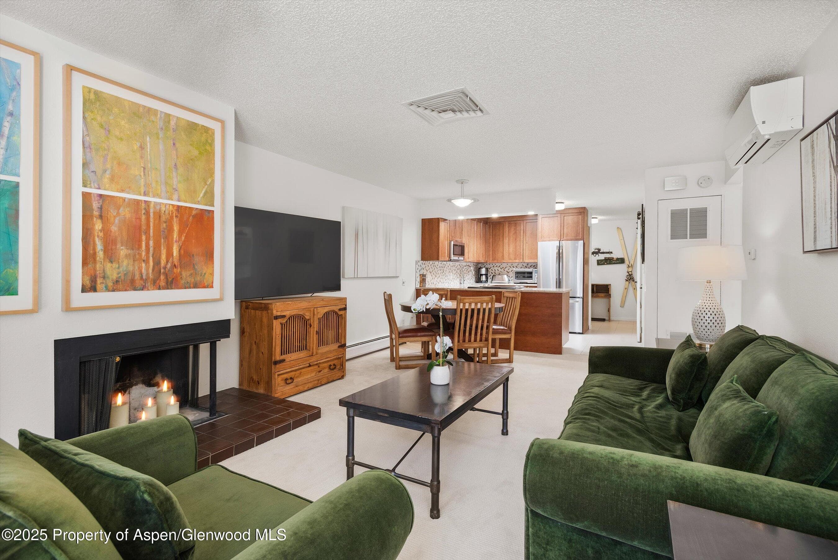 205 E Durant Avenue 3e, Aspen, CO 81611 - Photo 3