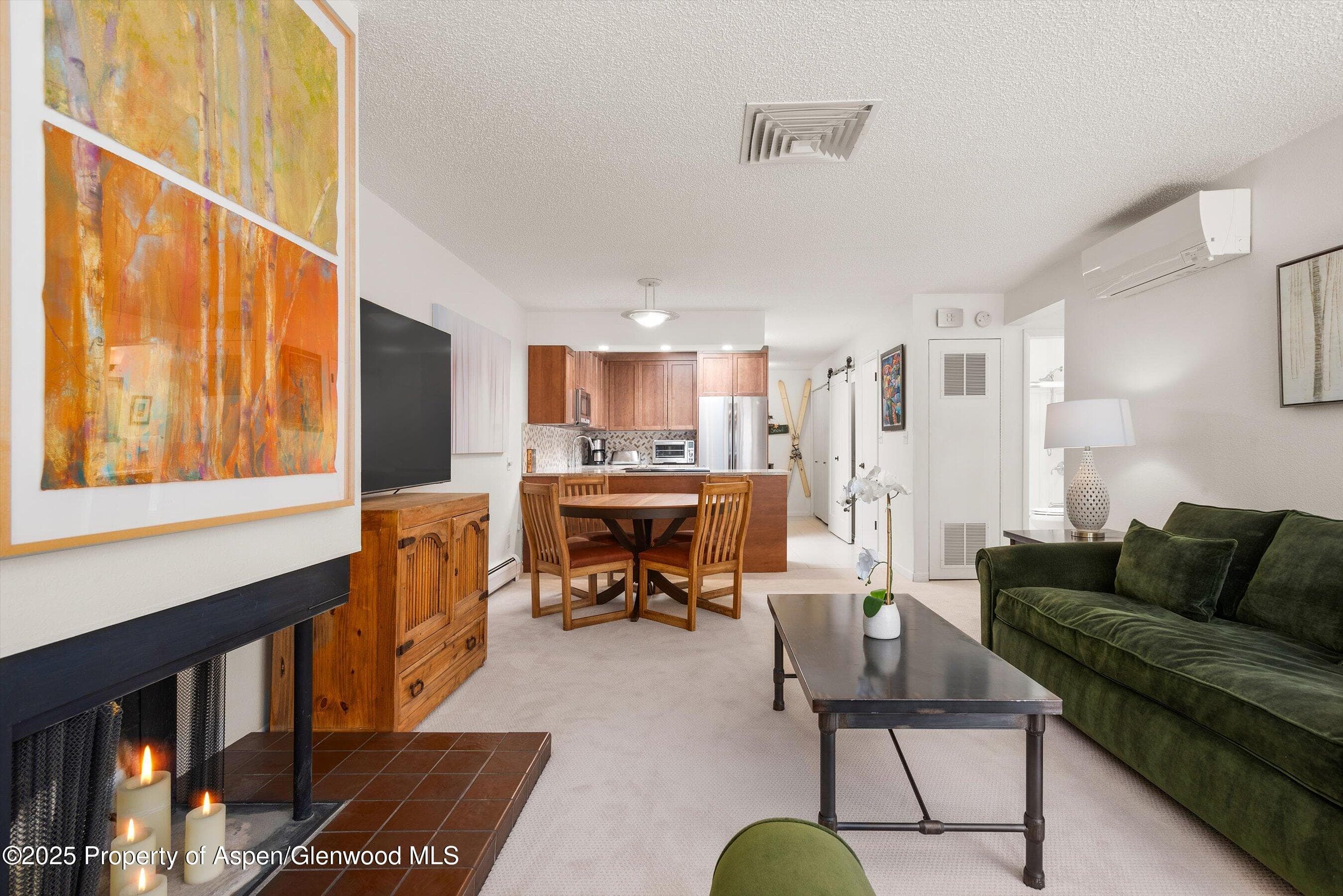 205 E Durant Avenue 3e, Aspen, CO 81611 - Photo 4