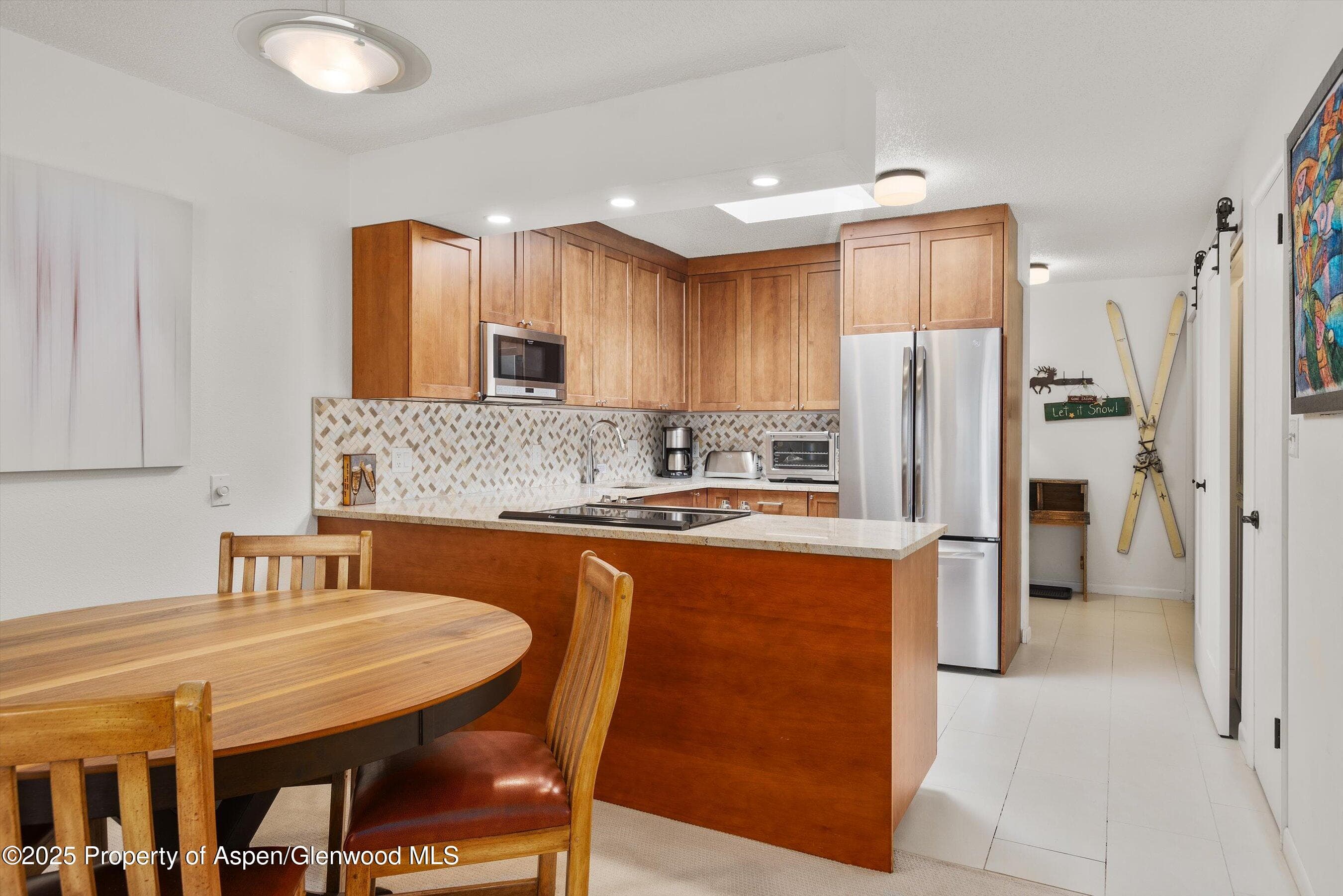 205 E Durant Avenue 3e, Aspen, CO 81611 - Photo 5