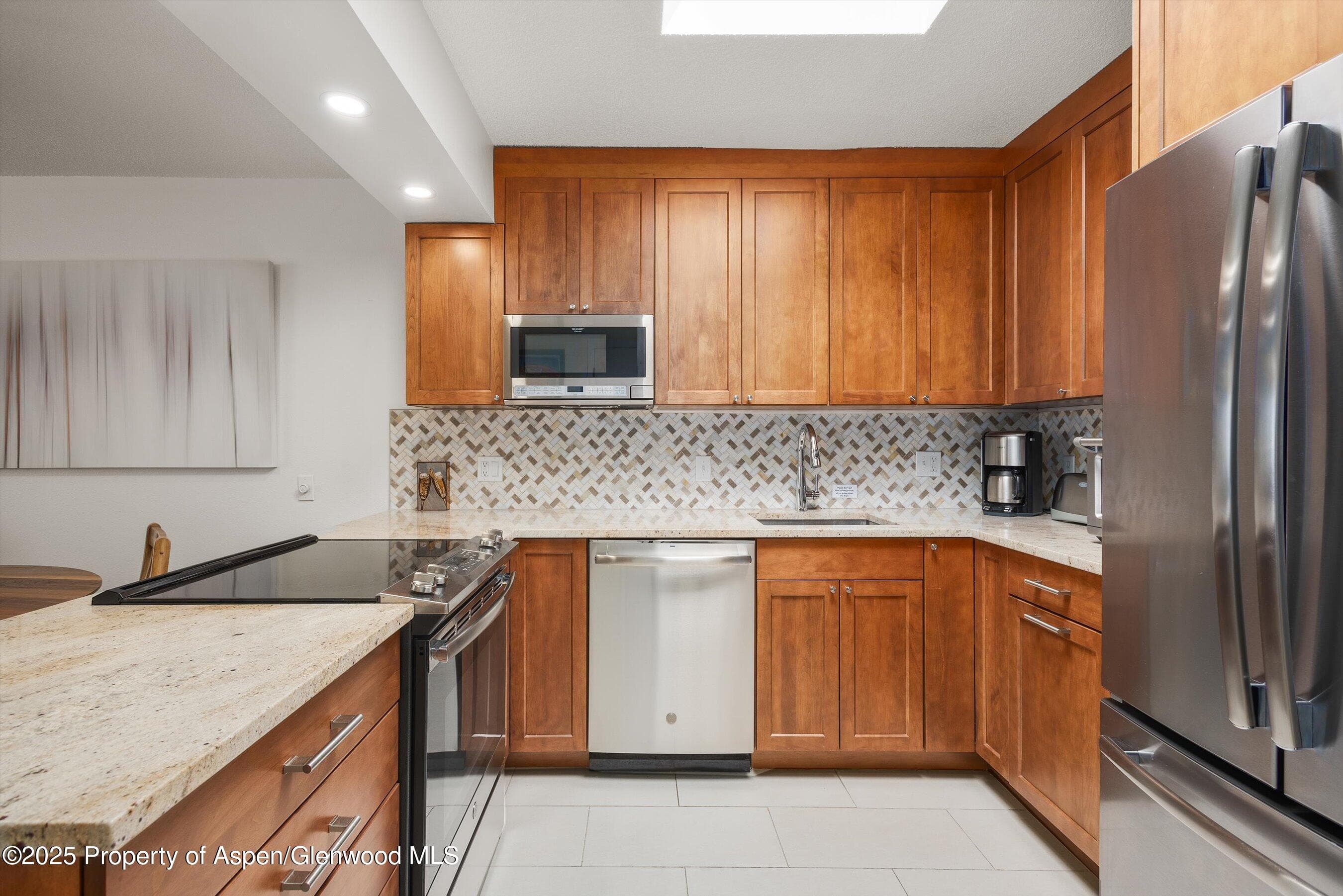 205 E Durant Avenue 3e, Aspen, CO 81611 - Photo 6