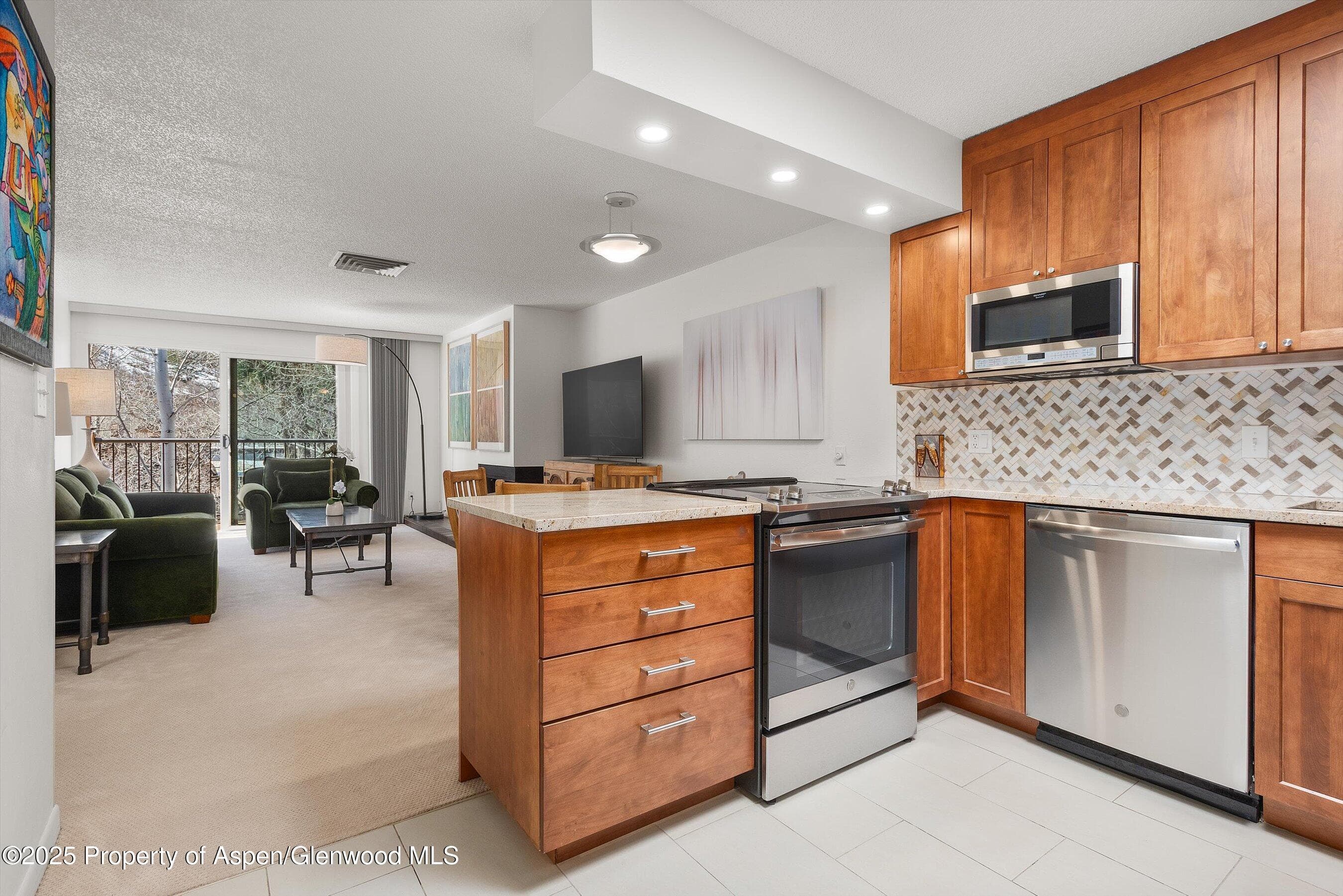 205 E Durant Avenue 3e, Aspen, CO 81611 - Photo 7