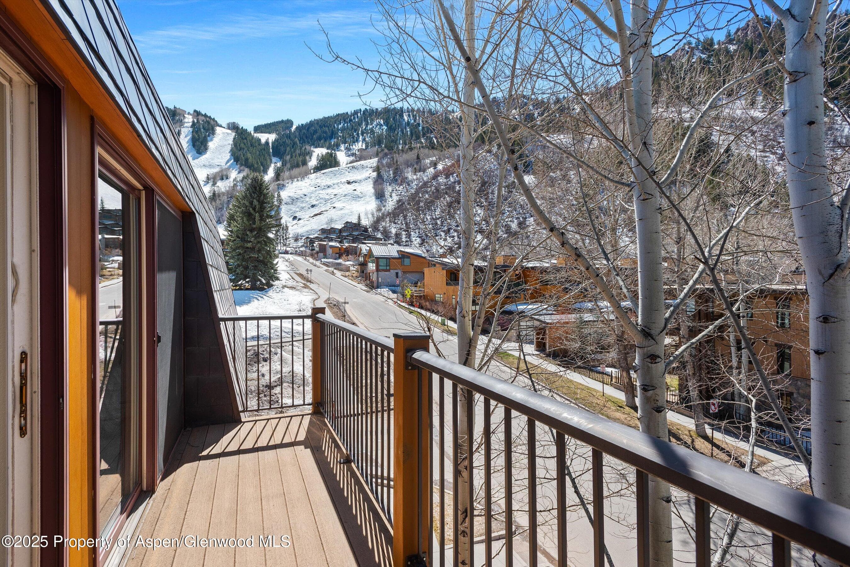 205 E Durant Avenue 3e, Aspen, CO 81611 - Photo 8