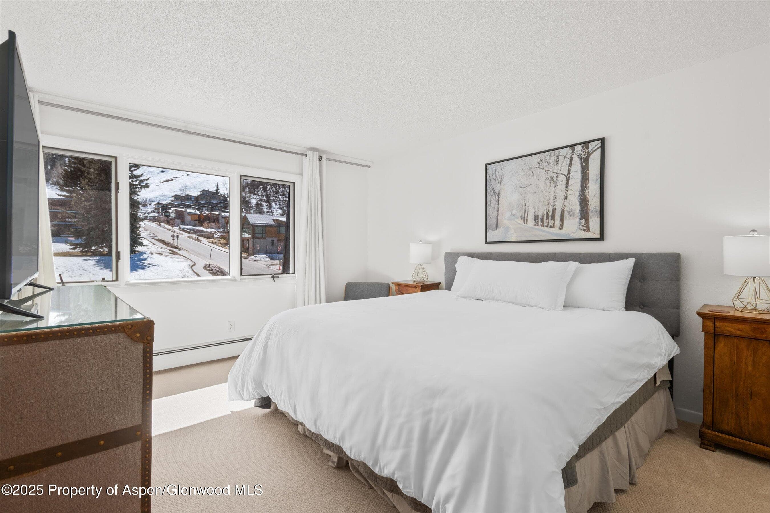 205 E Durant Avenue 3e, Aspen, CO 81611 - Photo 11