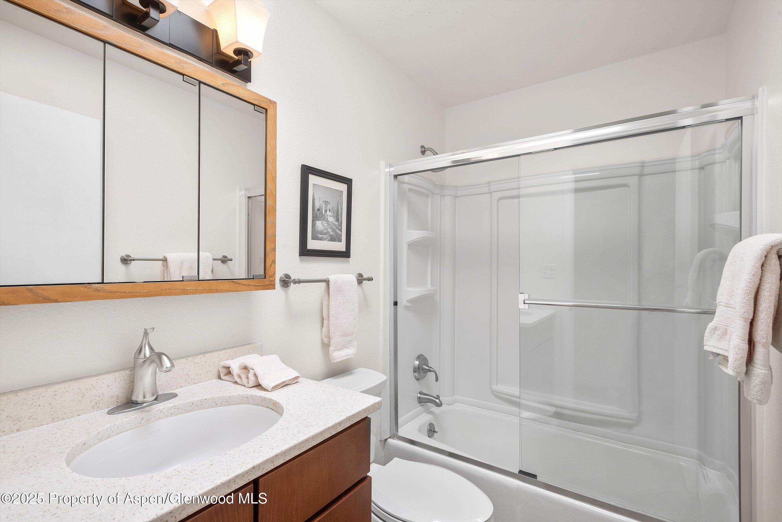 205 E Durant Avenue 3e, Aspen, CO 81611 - Photo 10