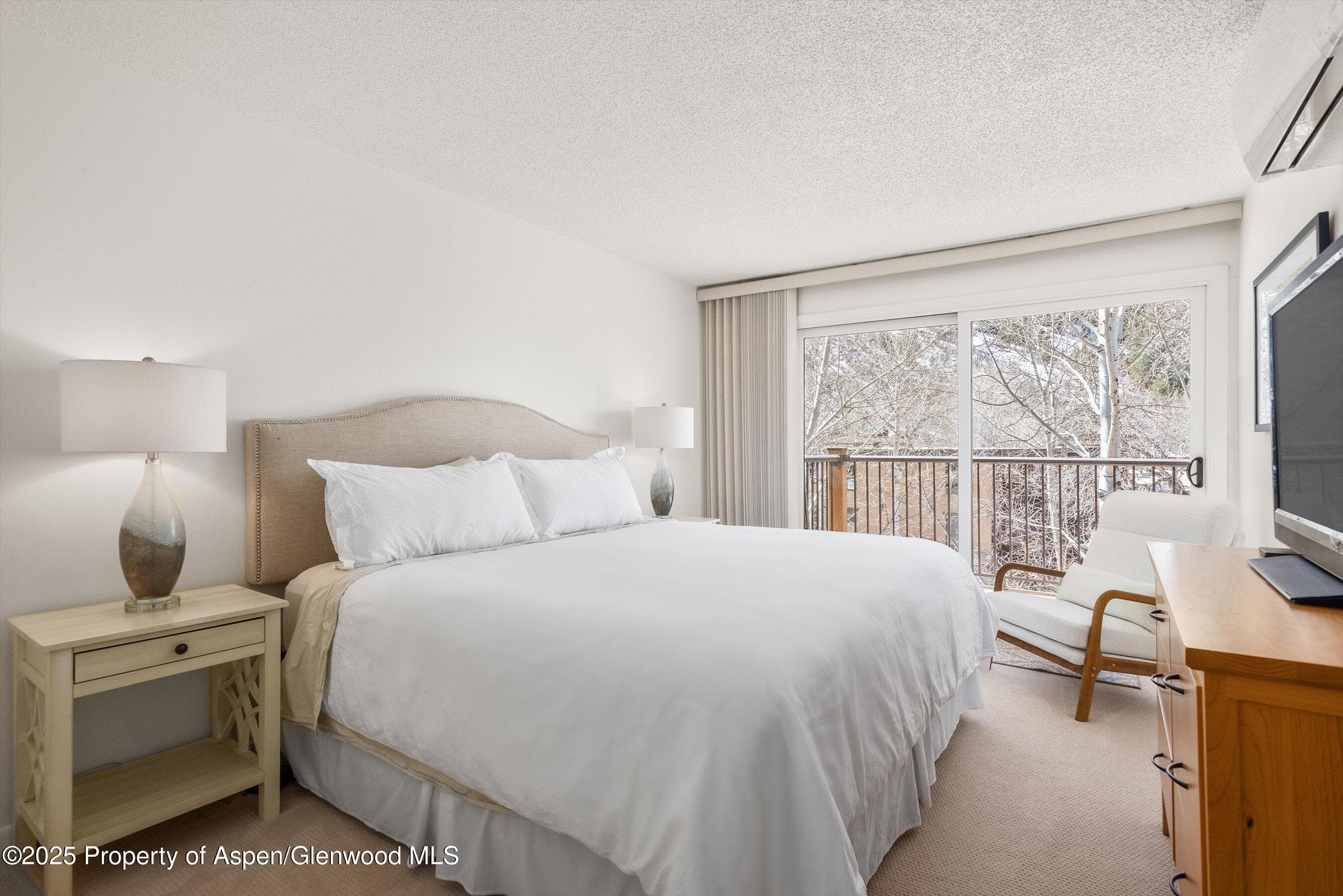 205 E Durant Avenue 3e, Aspen, CO 81611 - Photo 9