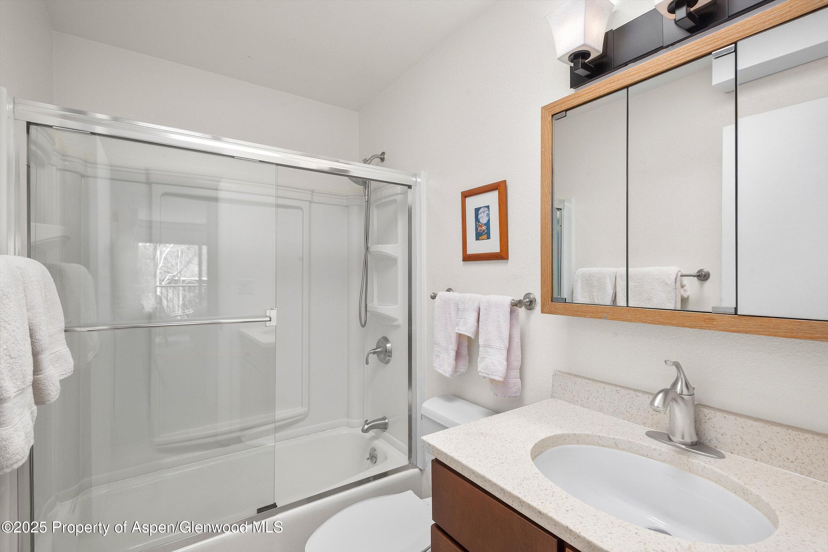 205 E Durant Avenue 3e, Aspen, CO 81611 - Photo 12