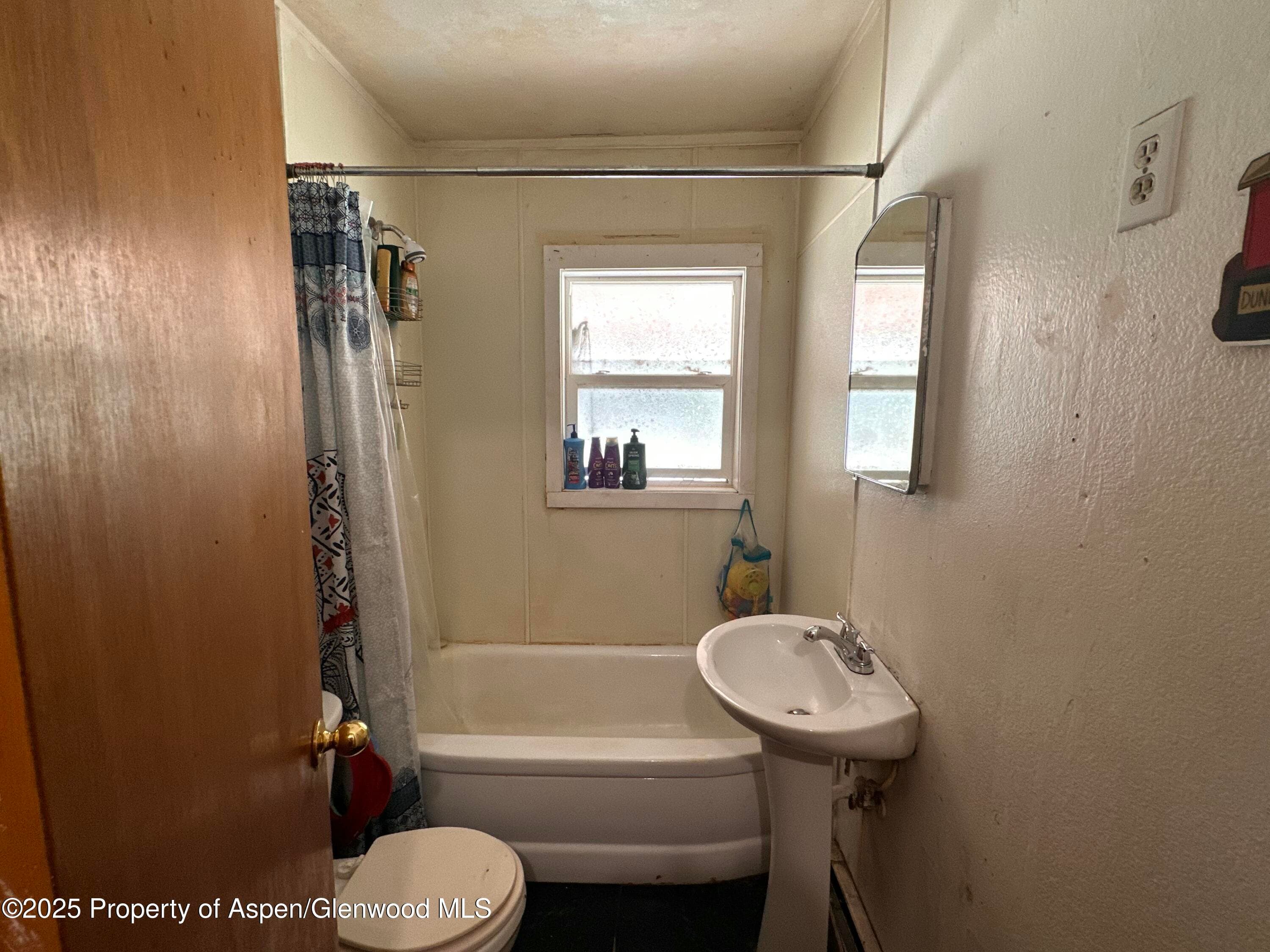 317 Payson Street, Norwood, CO 81423 - Photo 8
