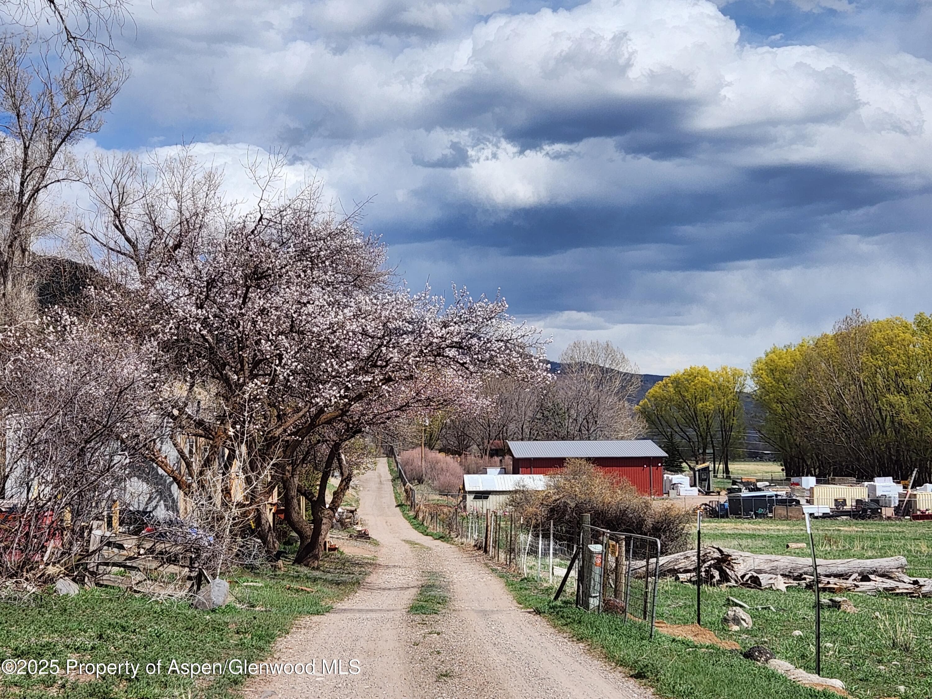 3659 Co Rd 100, Carbondale, CO 81623 - Photo 17