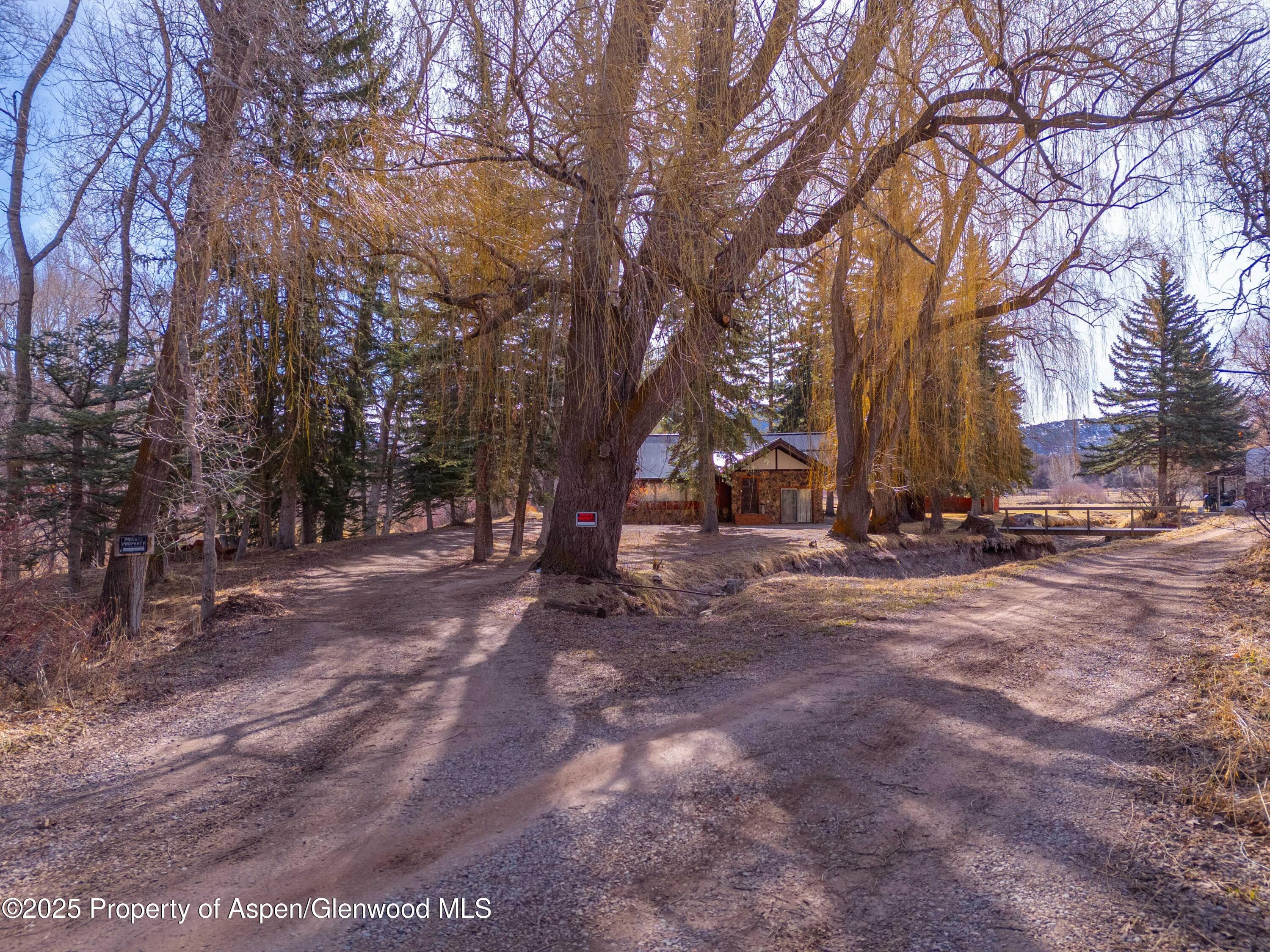 0044 Hooks Lane, Basalt, CO 81621 - Photo 9