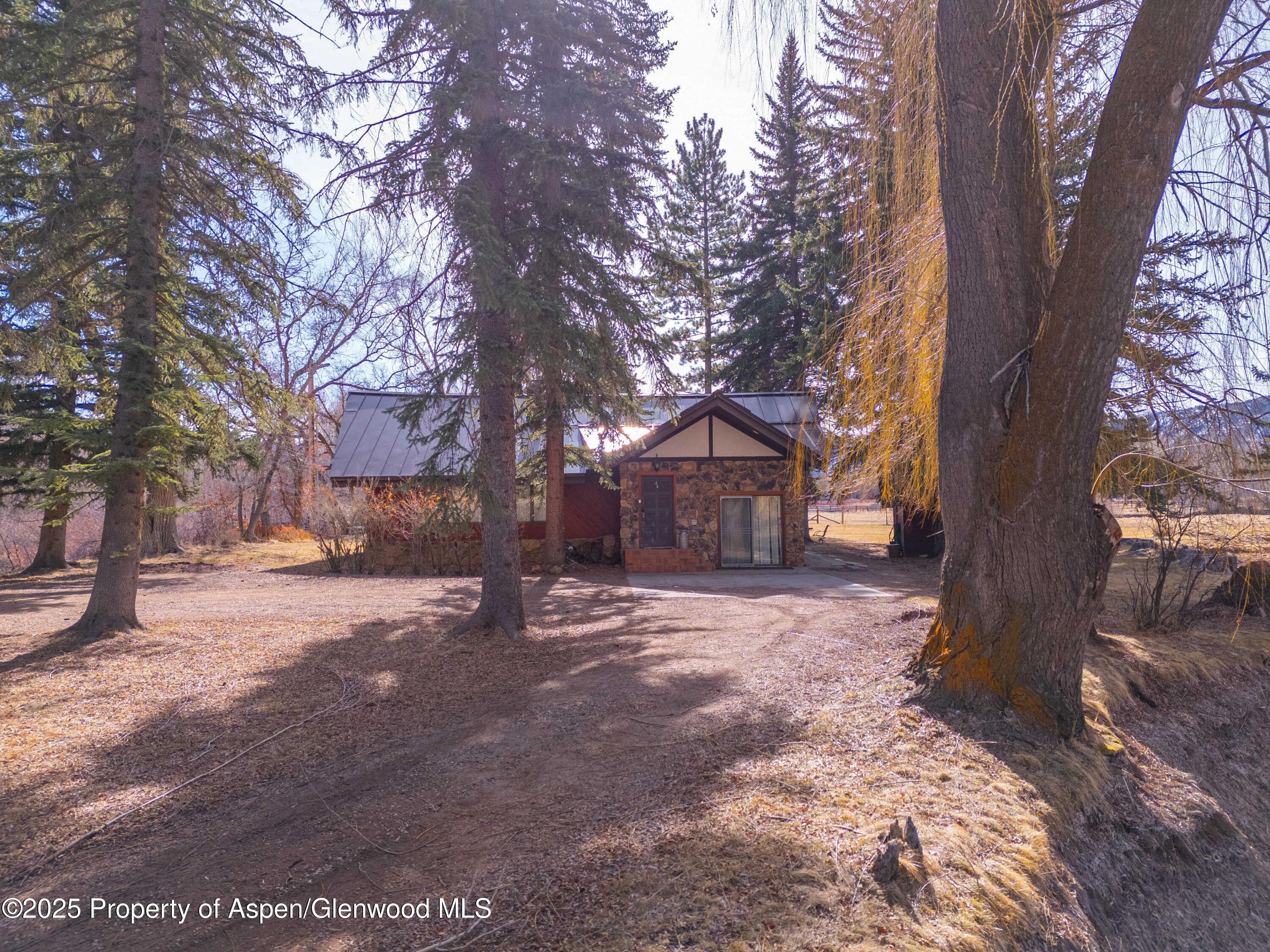 0044 Hooks Lane, Basalt, CO 81621 - Photo 11