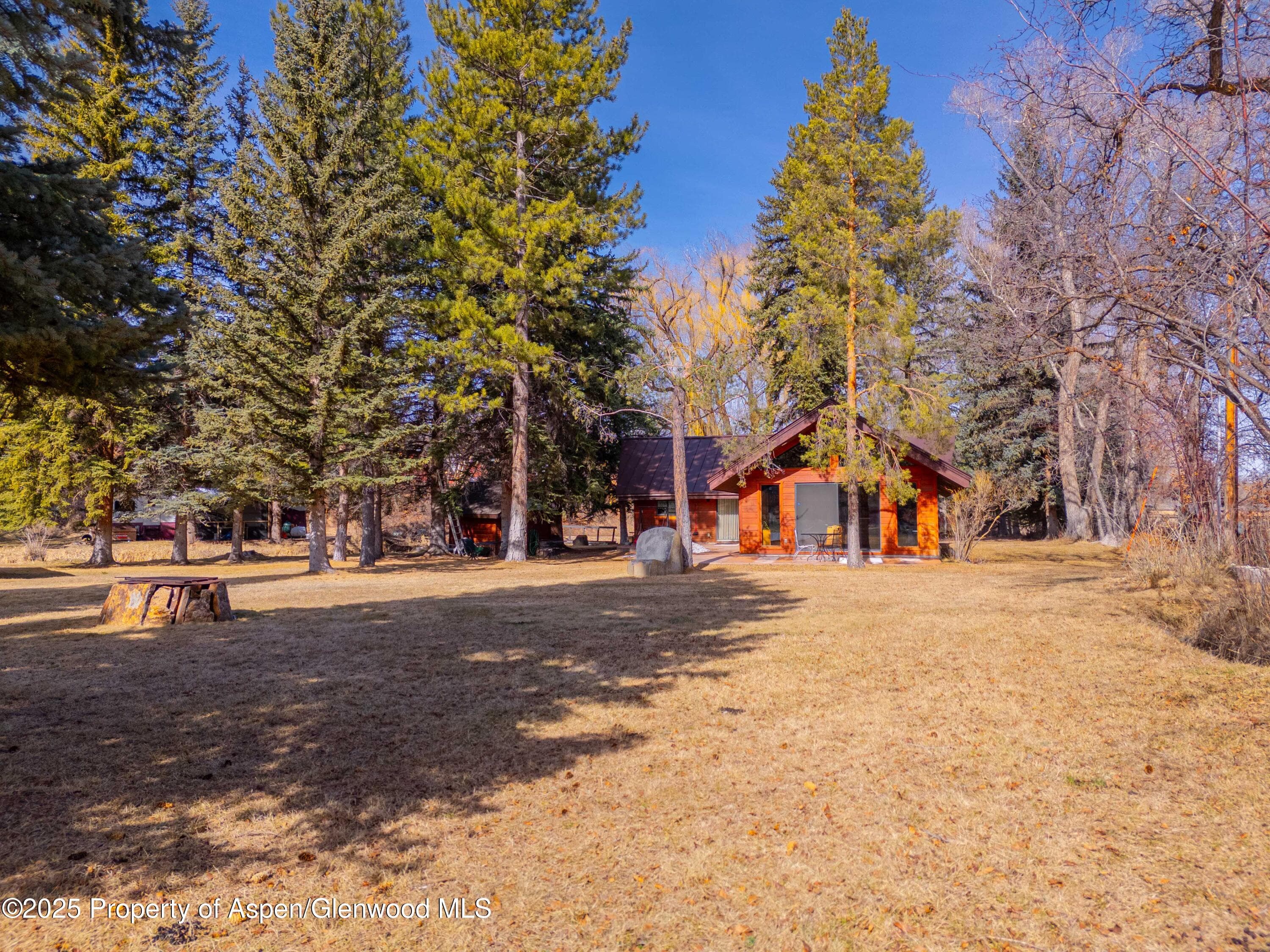 0044 Hooks Lane, Basalt, CO 81621 - Photo 15