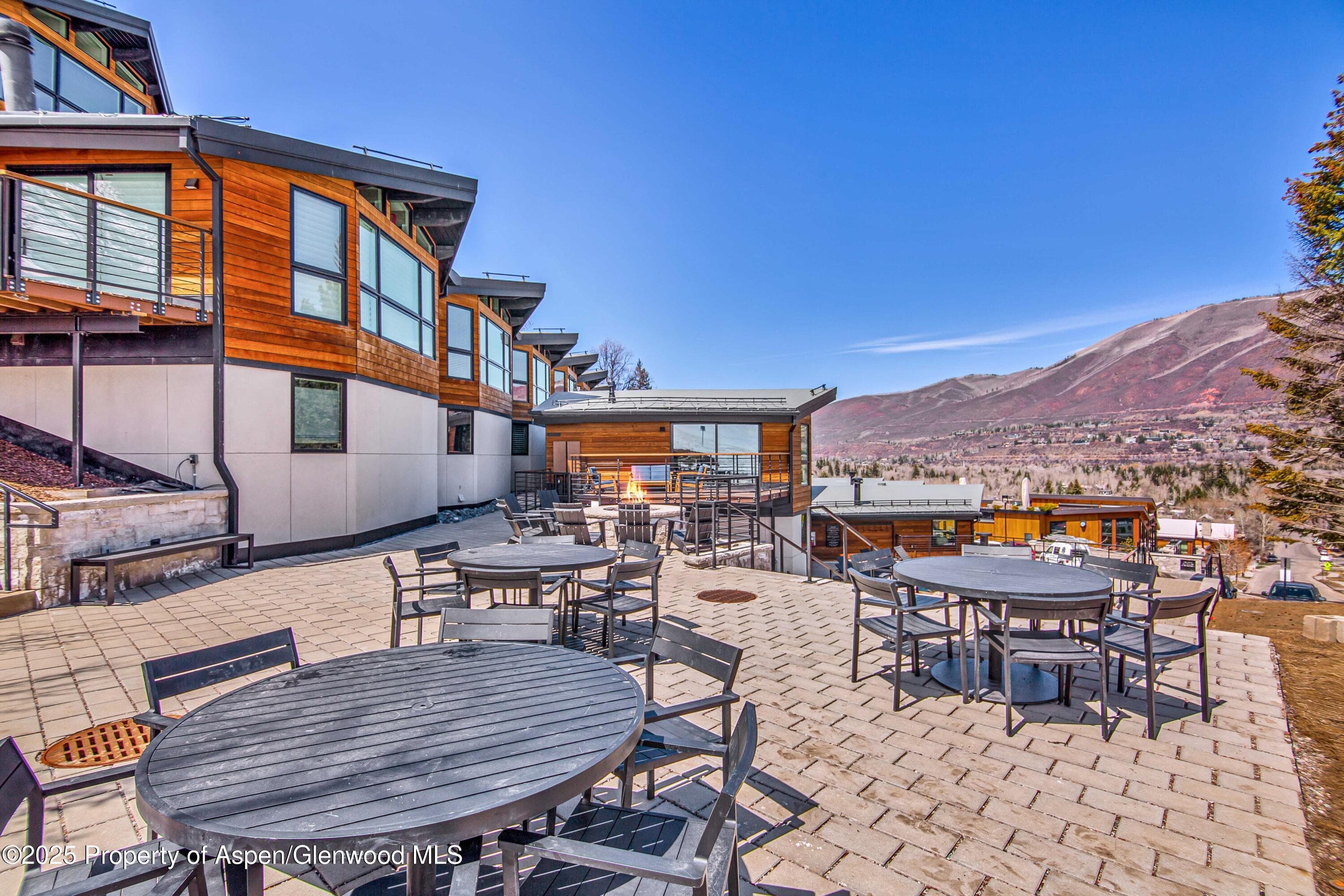 809 S Aspen Street 5&6, Aspen, CO 81611 - Photo 40