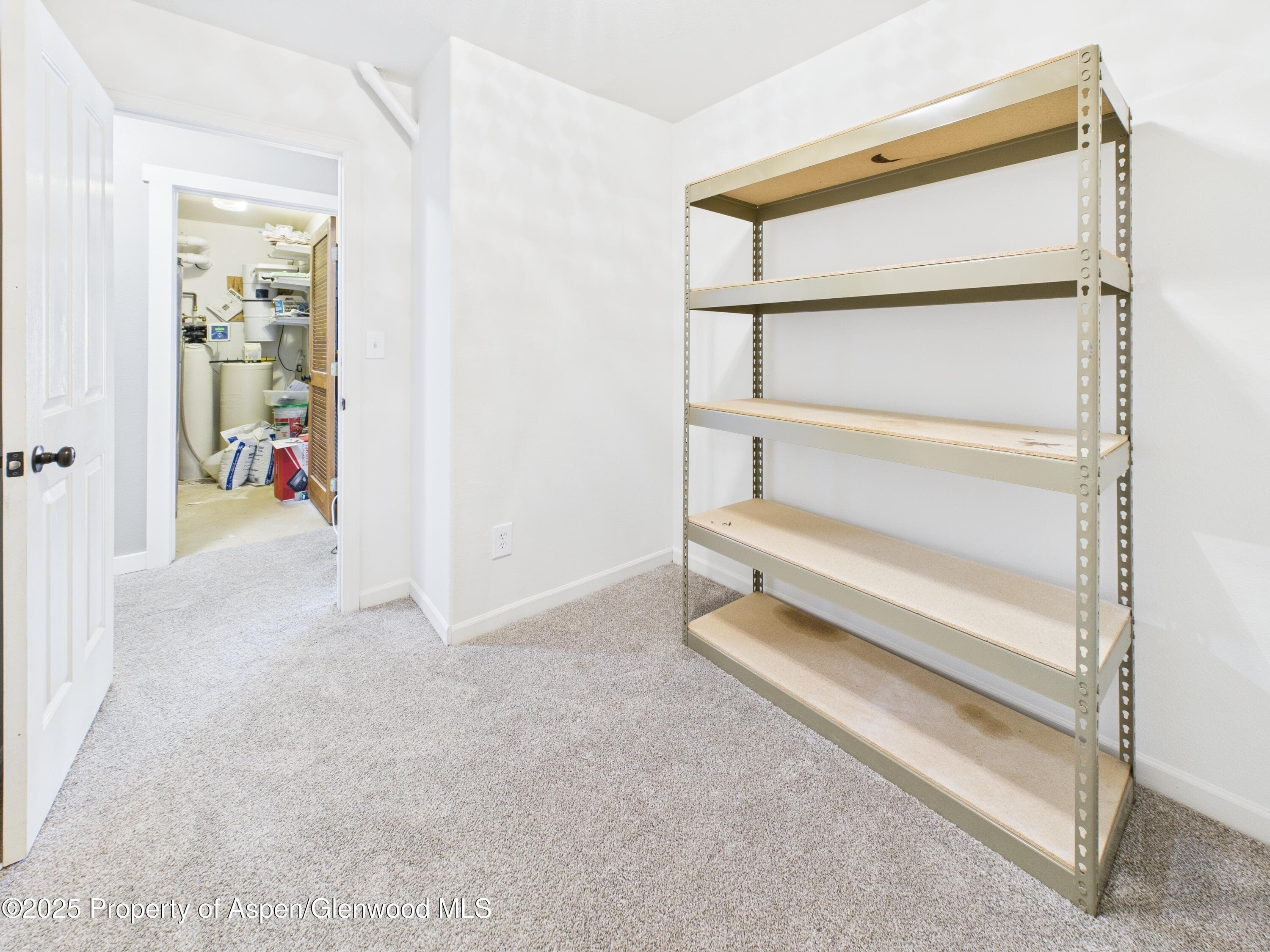 1174 County Rd 113, Carbondale, CO 81623 - Photo 31