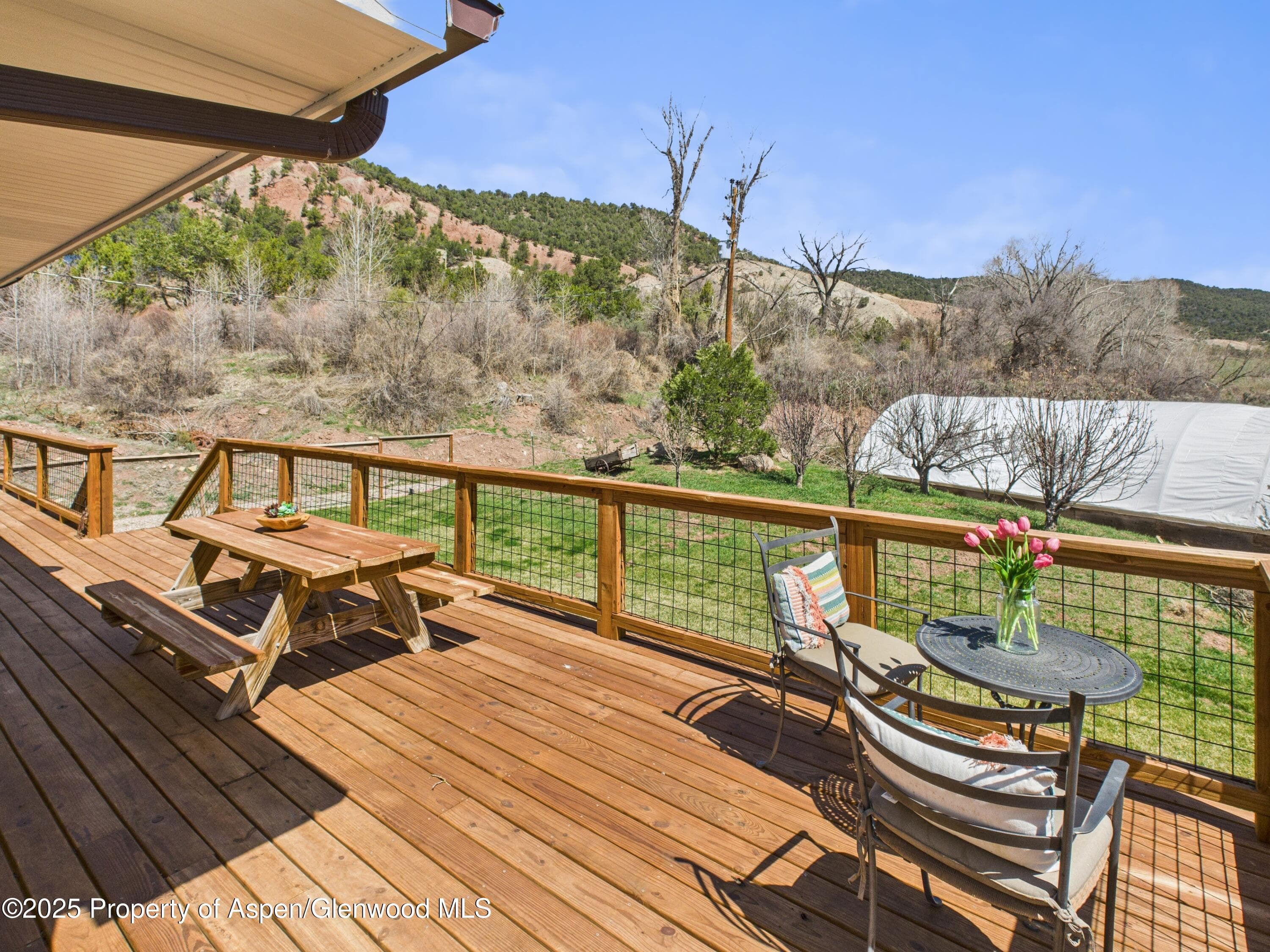 1174 County Rd 113, Carbondale, CO 81623 - Photo 9