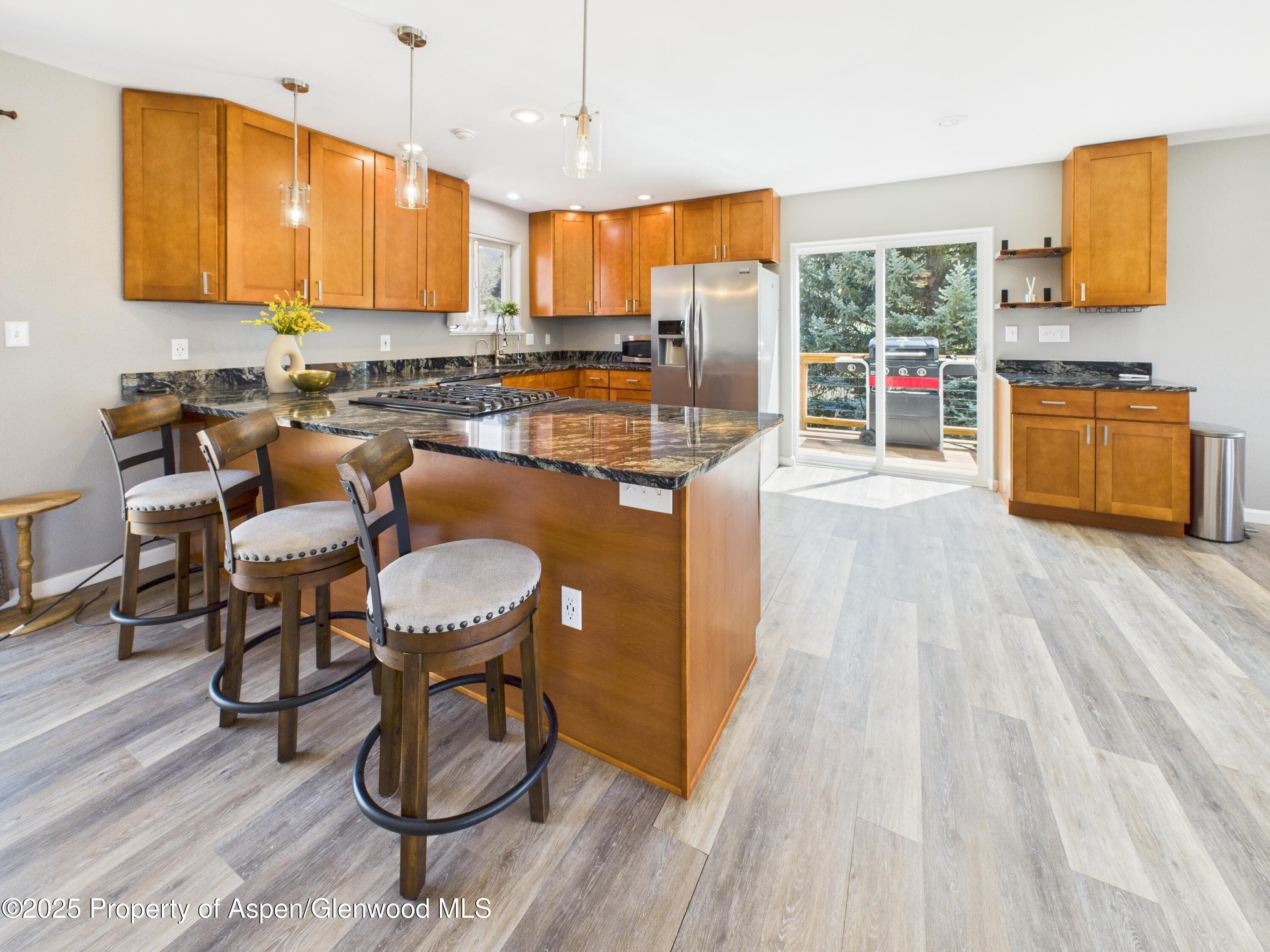 1174 County Rd 113, Carbondale, CO 81623 - Photo 14