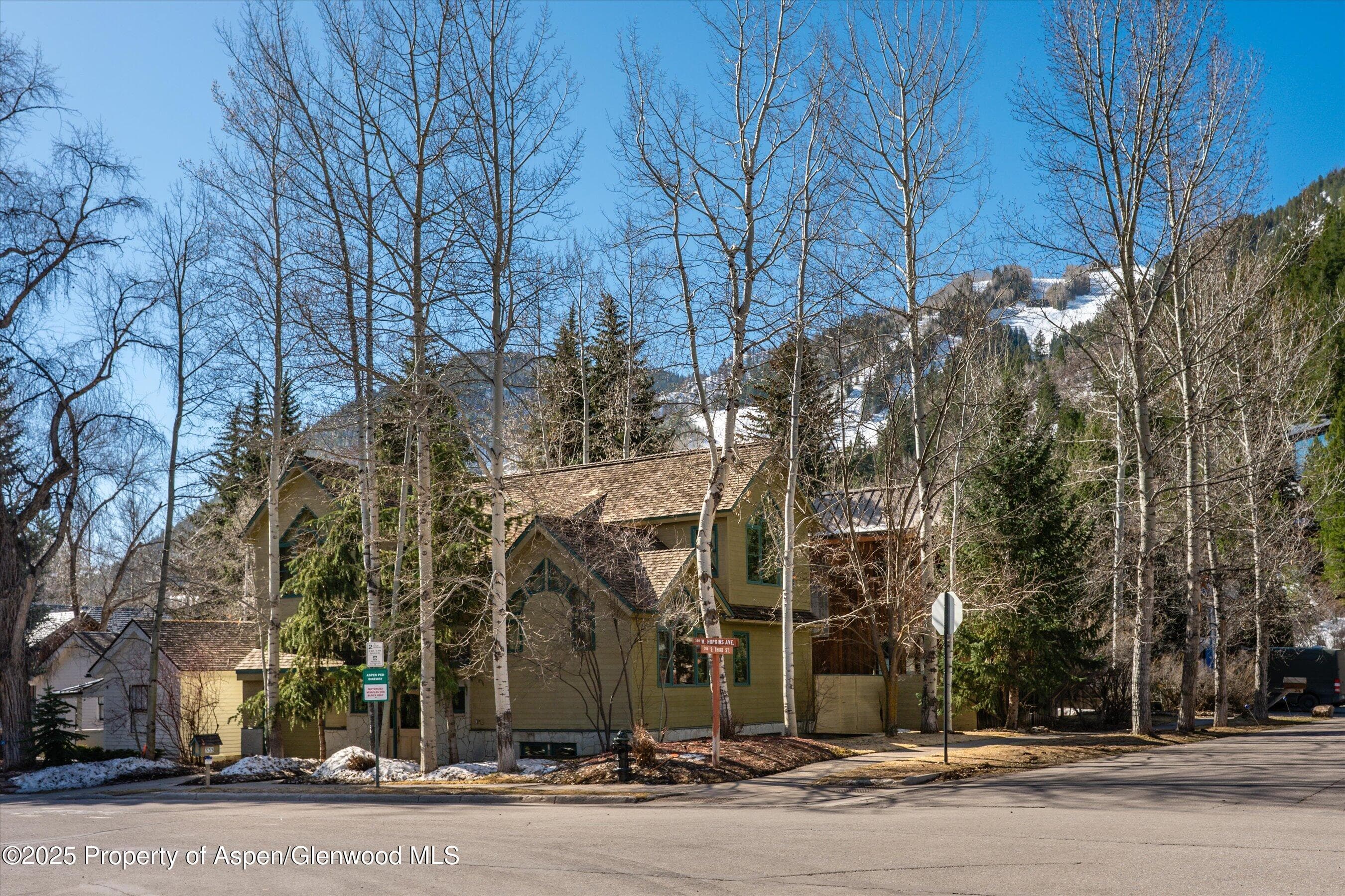 333 W HOPKINS Avenue, Aspen, CO 81611 - Photo 1