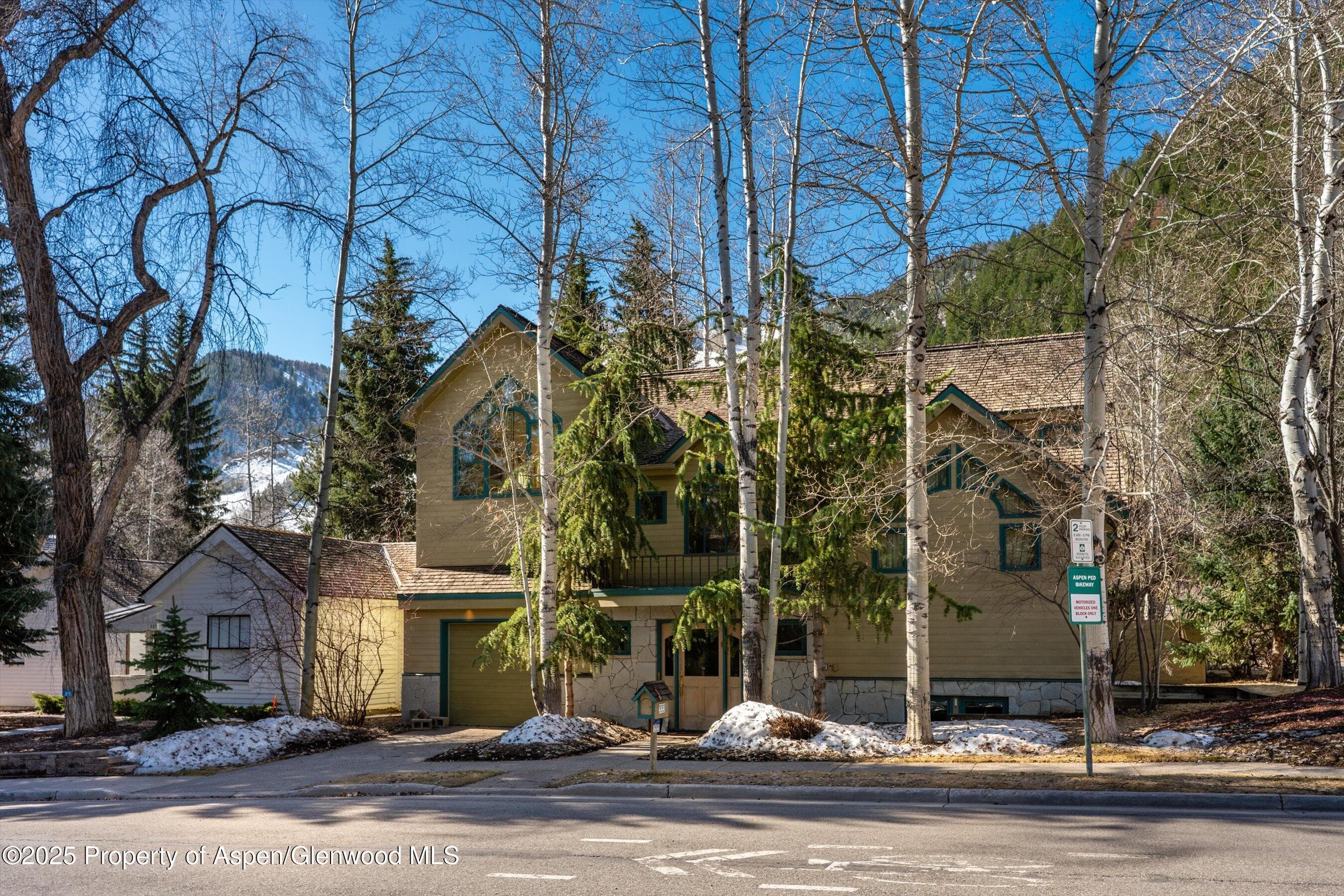 333 W HOPKINS Avenue, Aspen, CO 81611 - Photo 2