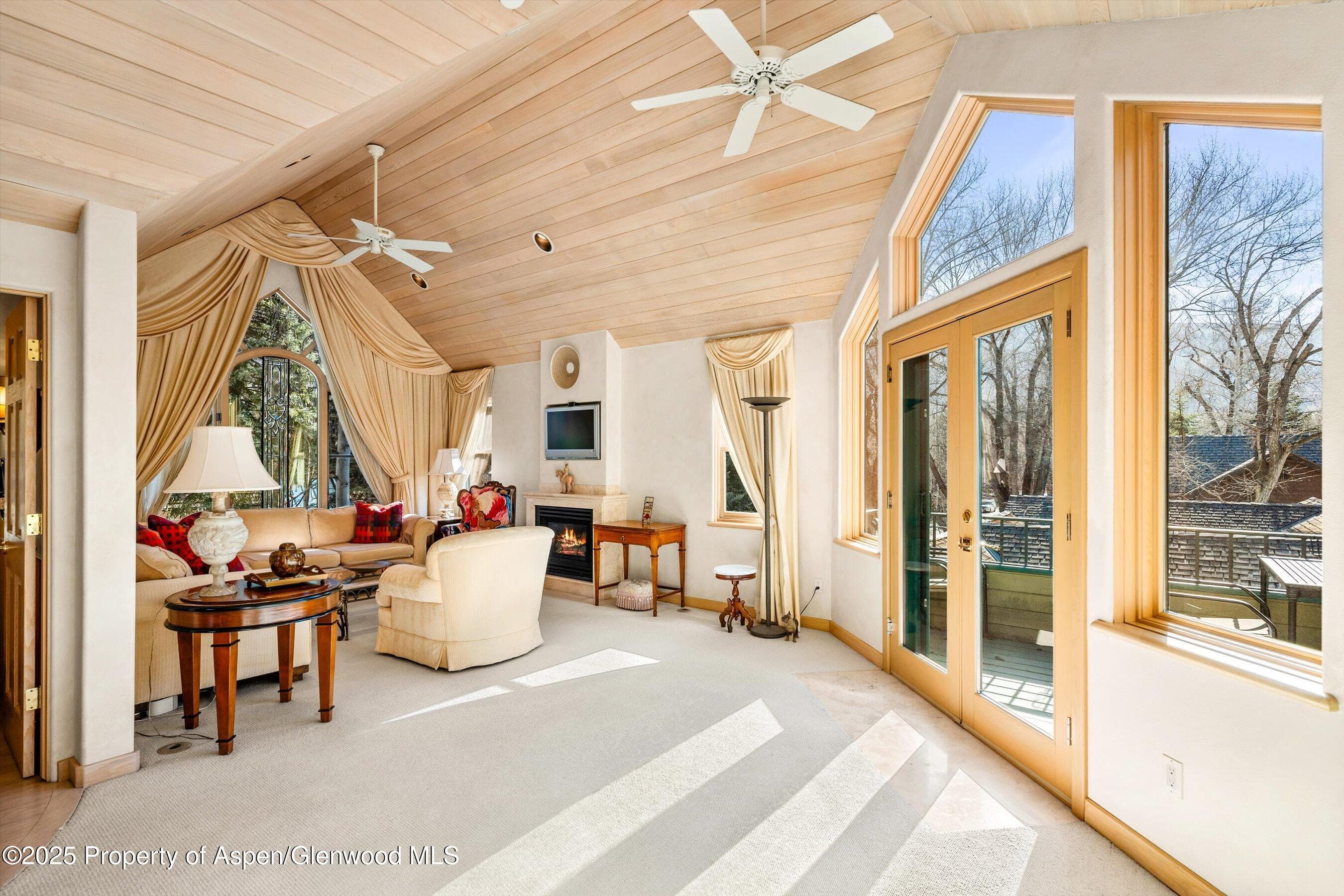 333 W HOPKINS Avenue, Aspen, CO 81611 - Photo 4