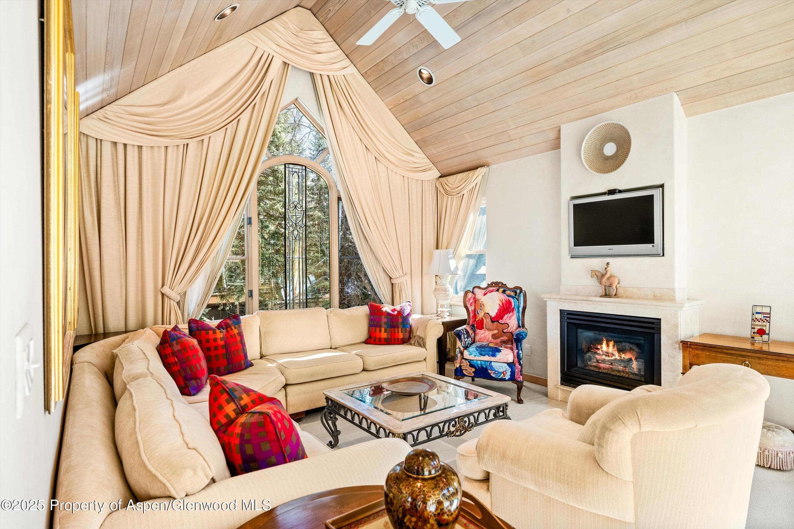 333 W HOPKINS Avenue, Aspen, CO 81611 - Photo 3