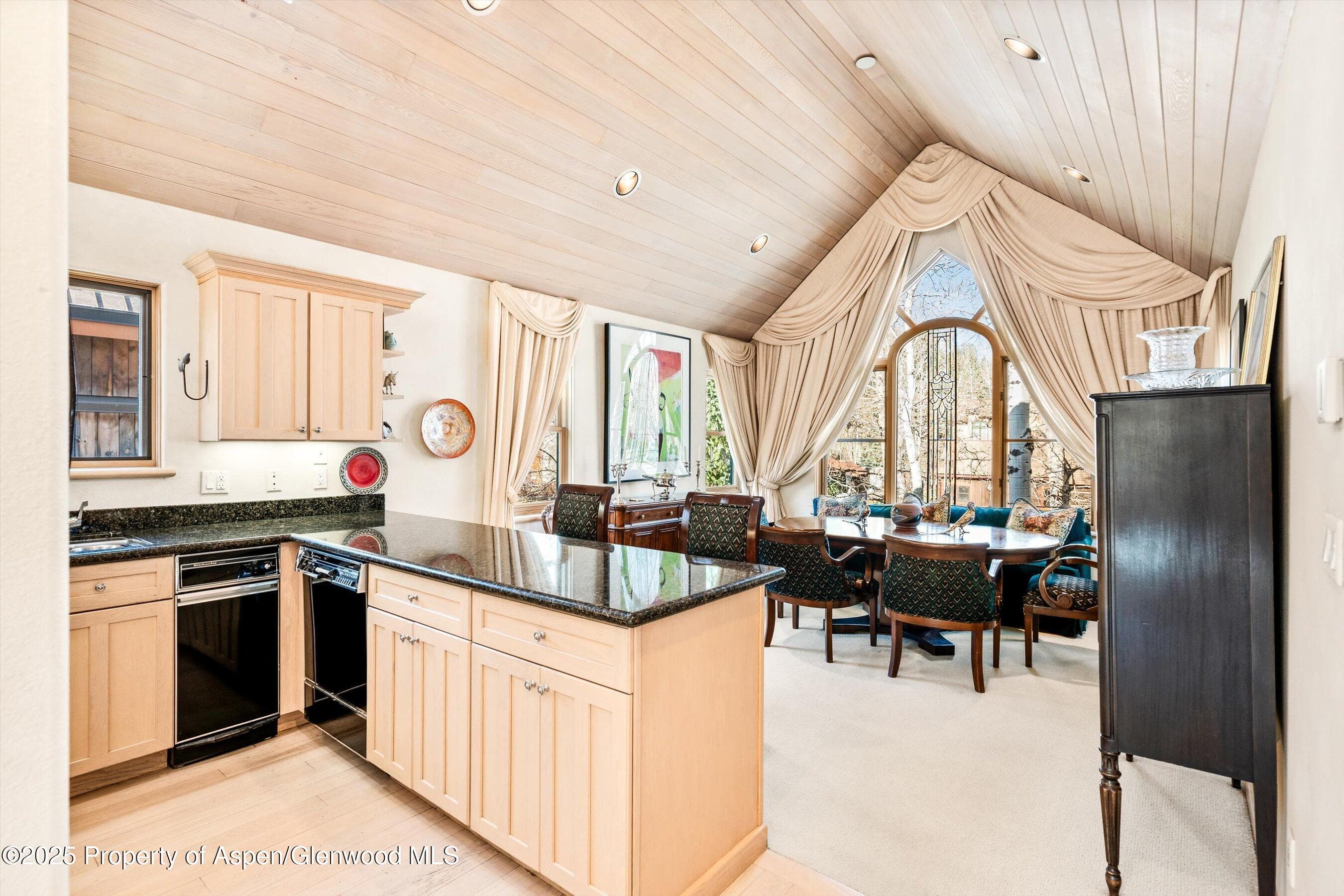 333 W HOPKINS Avenue, Aspen, CO 81611 - Photo 7