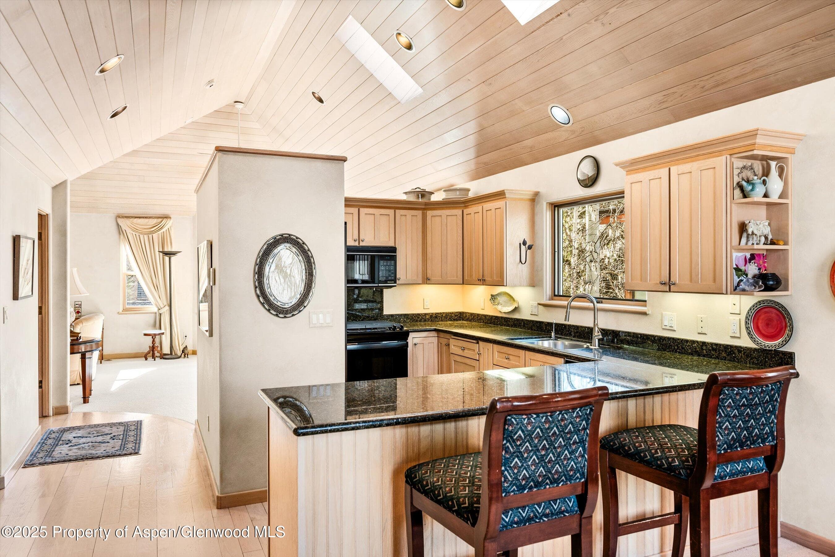 333 W HOPKINS Avenue, Aspen, CO 81611 - Photo 8