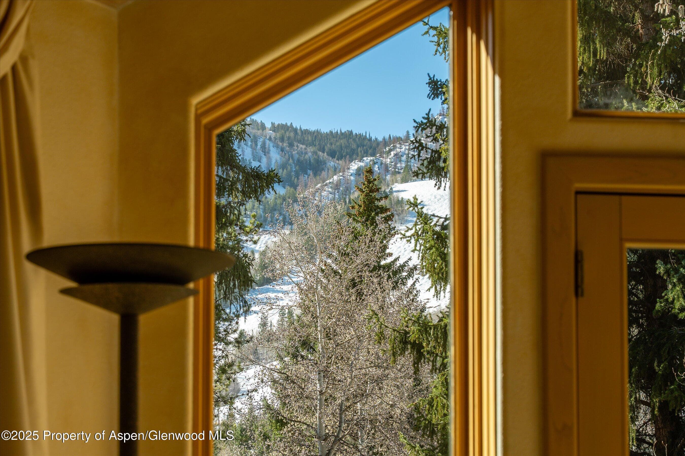 333 W HOPKINS Avenue, Aspen, CO 81611 - Photo 6
