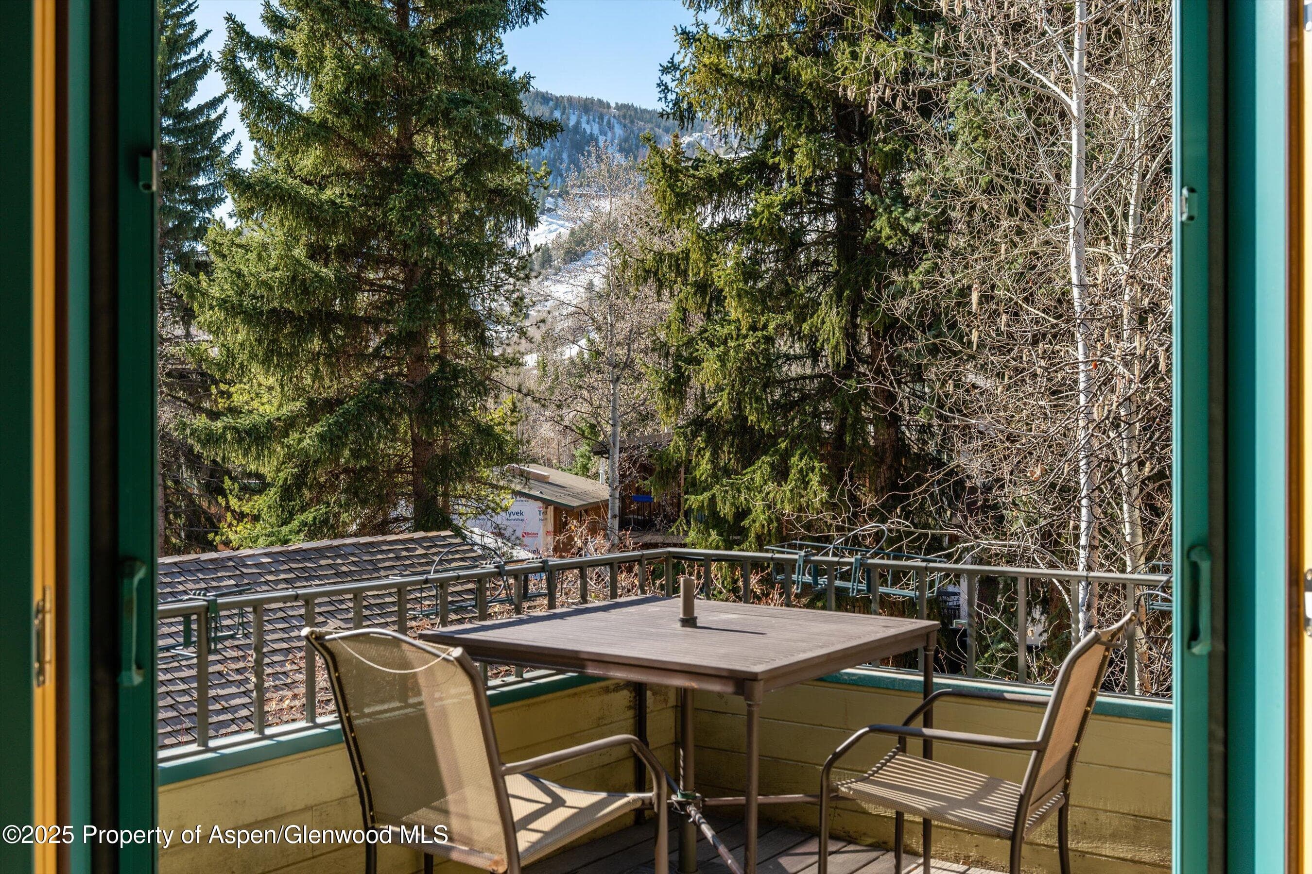 333 W HOPKINS Avenue, Aspen, CO 81611 - Photo 18
