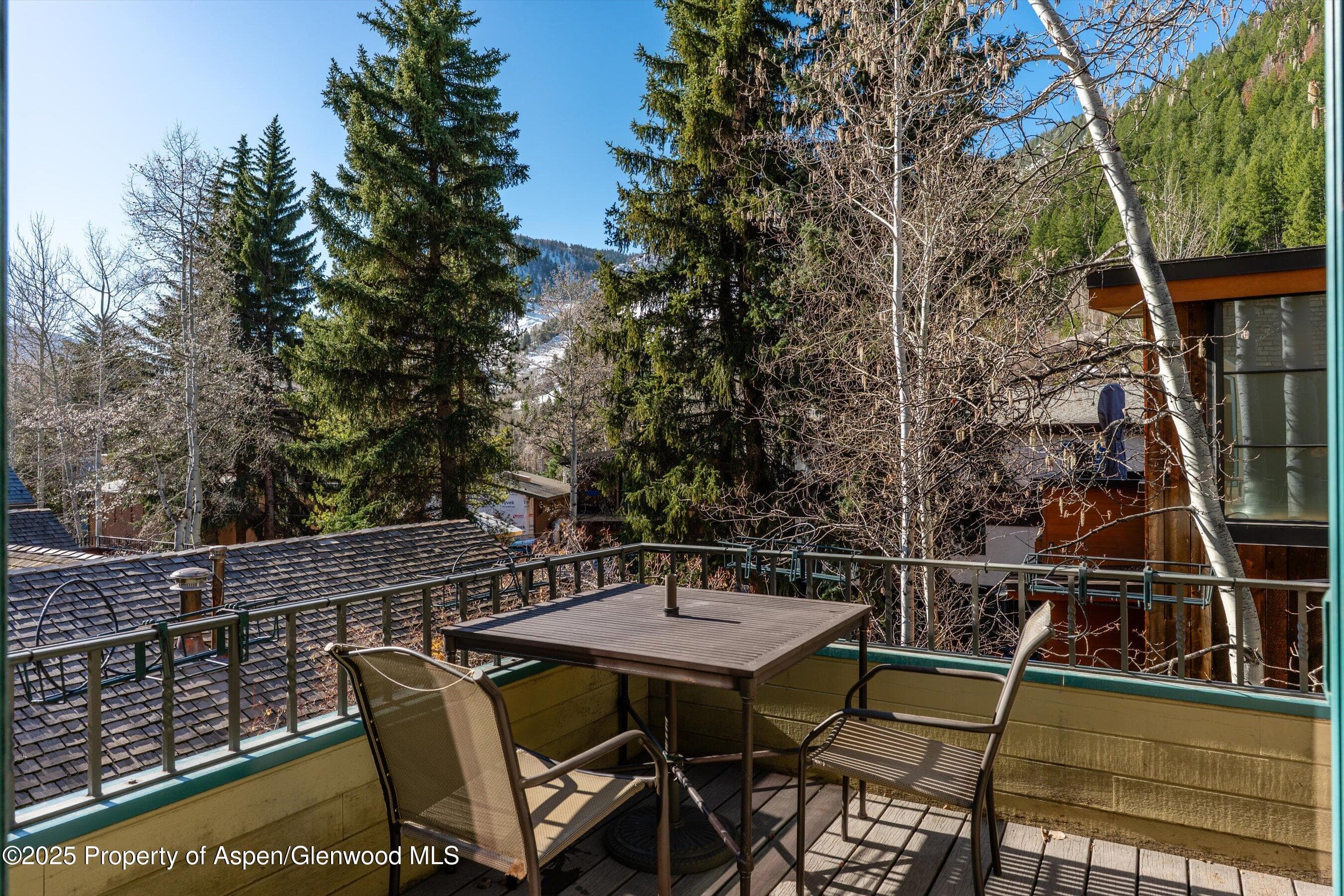 333 W HOPKINS Avenue, Aspen, CO 81611 - Photo 19