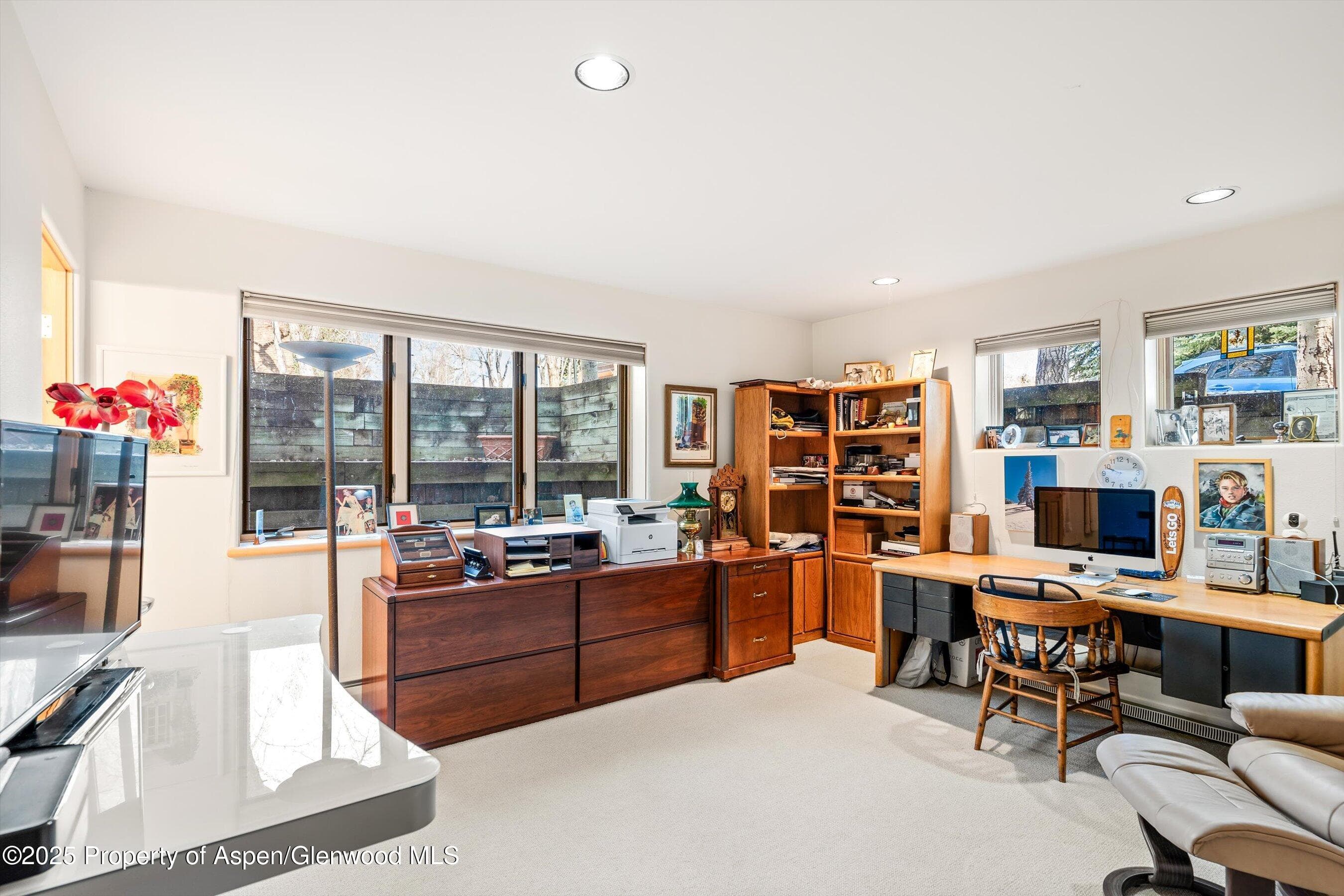 333 W HOPKINS Avenue, Aspen, CO 81611 - Photo 16