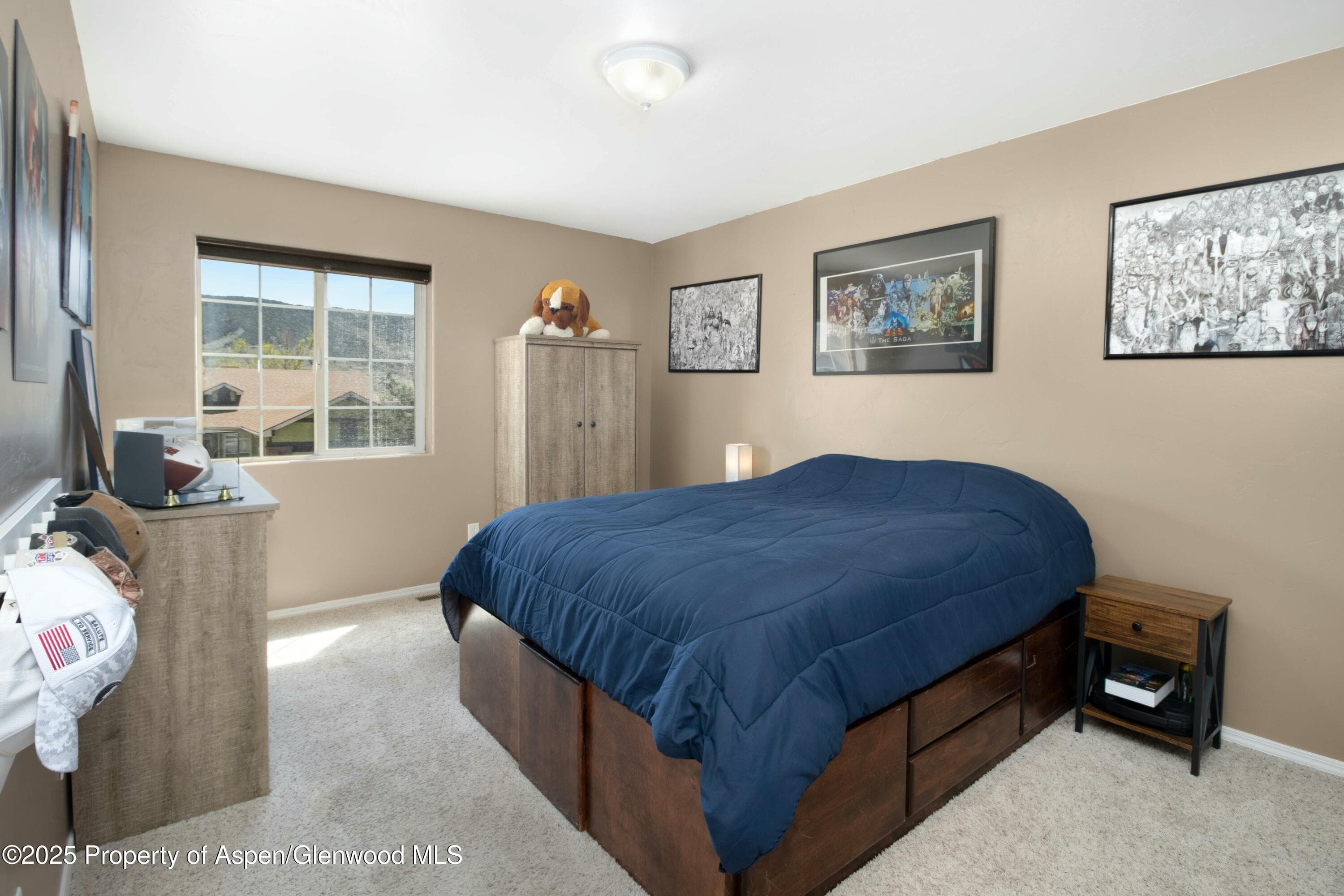 31 Hawthorne Way, Parachute, CO 81635 - Photo 8