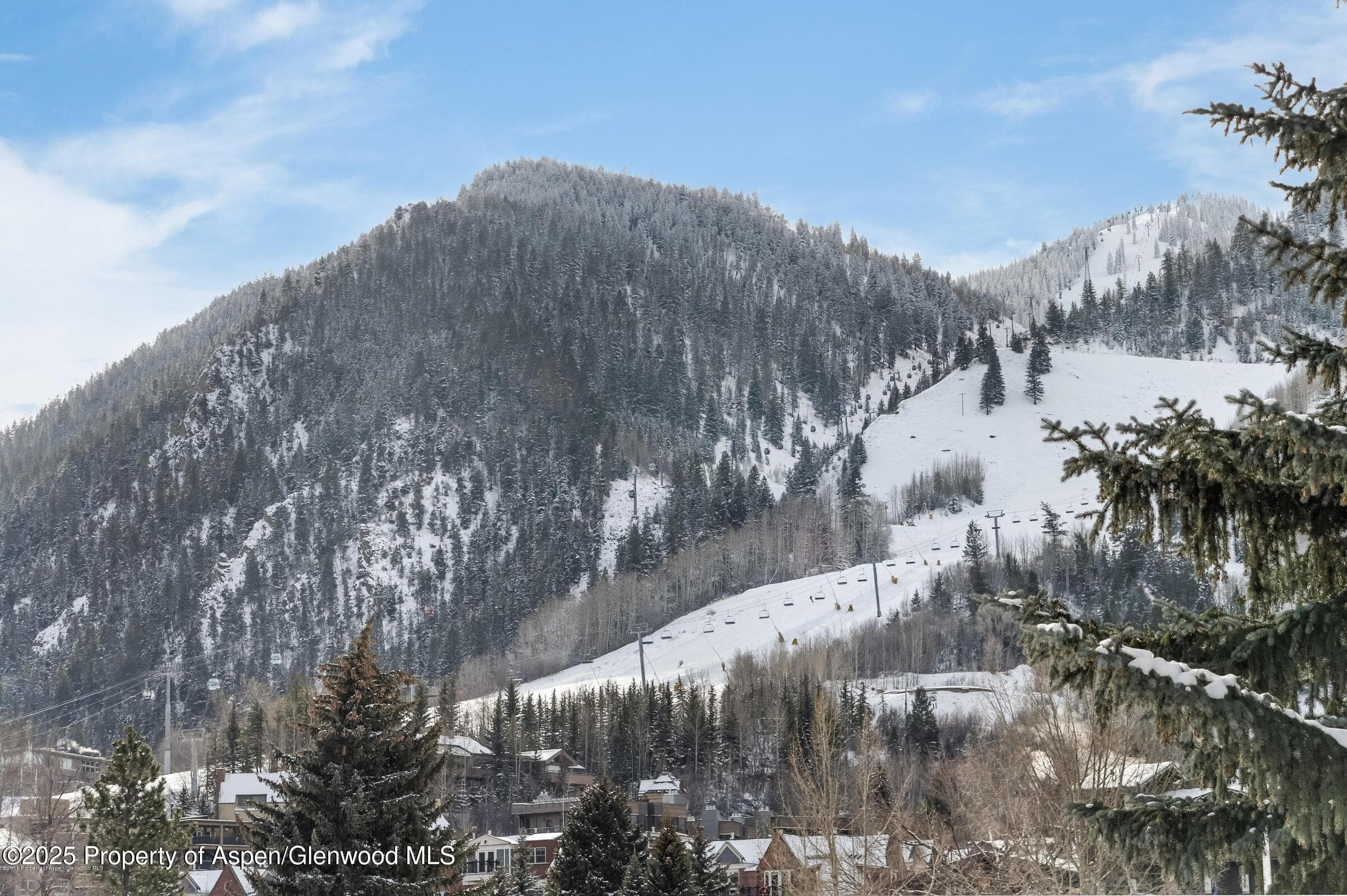 301 E Hyman Avenue 202, Aspen, CO 81611 - Photo 20