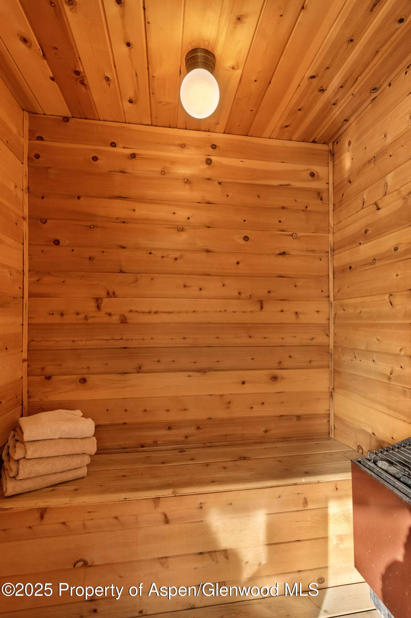 301 E Hyman Avenue 202, Aspen, CO 81611 - Photo 13