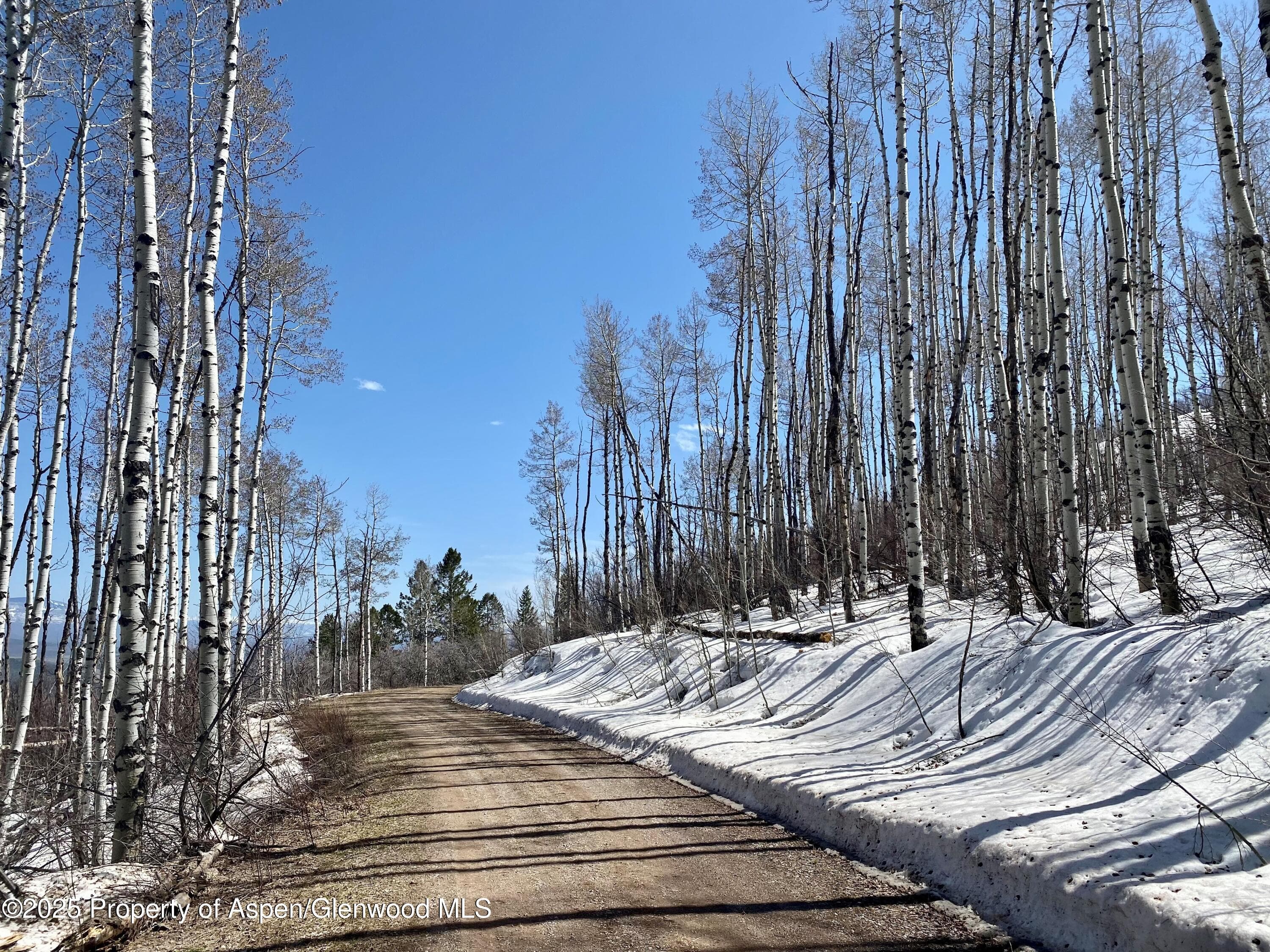 Lot 5 Bear Paw Lane, Glenwood Springs, CO 81601 - Photo 7