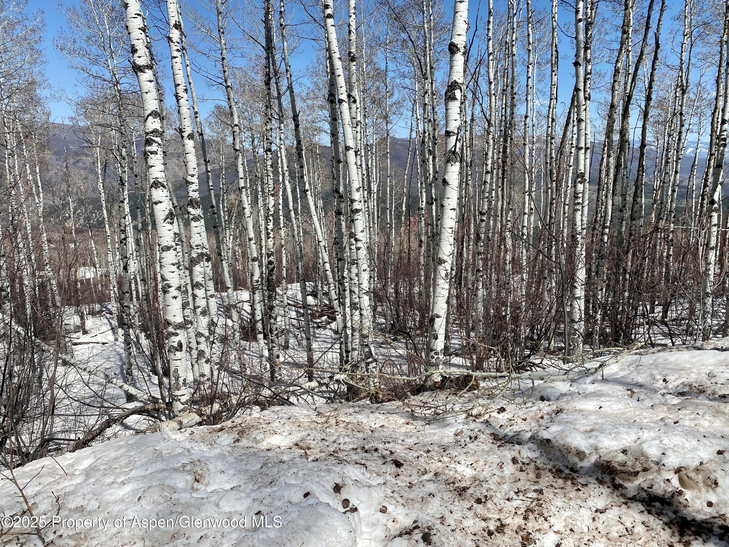 Lot 5 Bear Paw Lane, Glenwood Springs, CO 81601 - Photo 9
