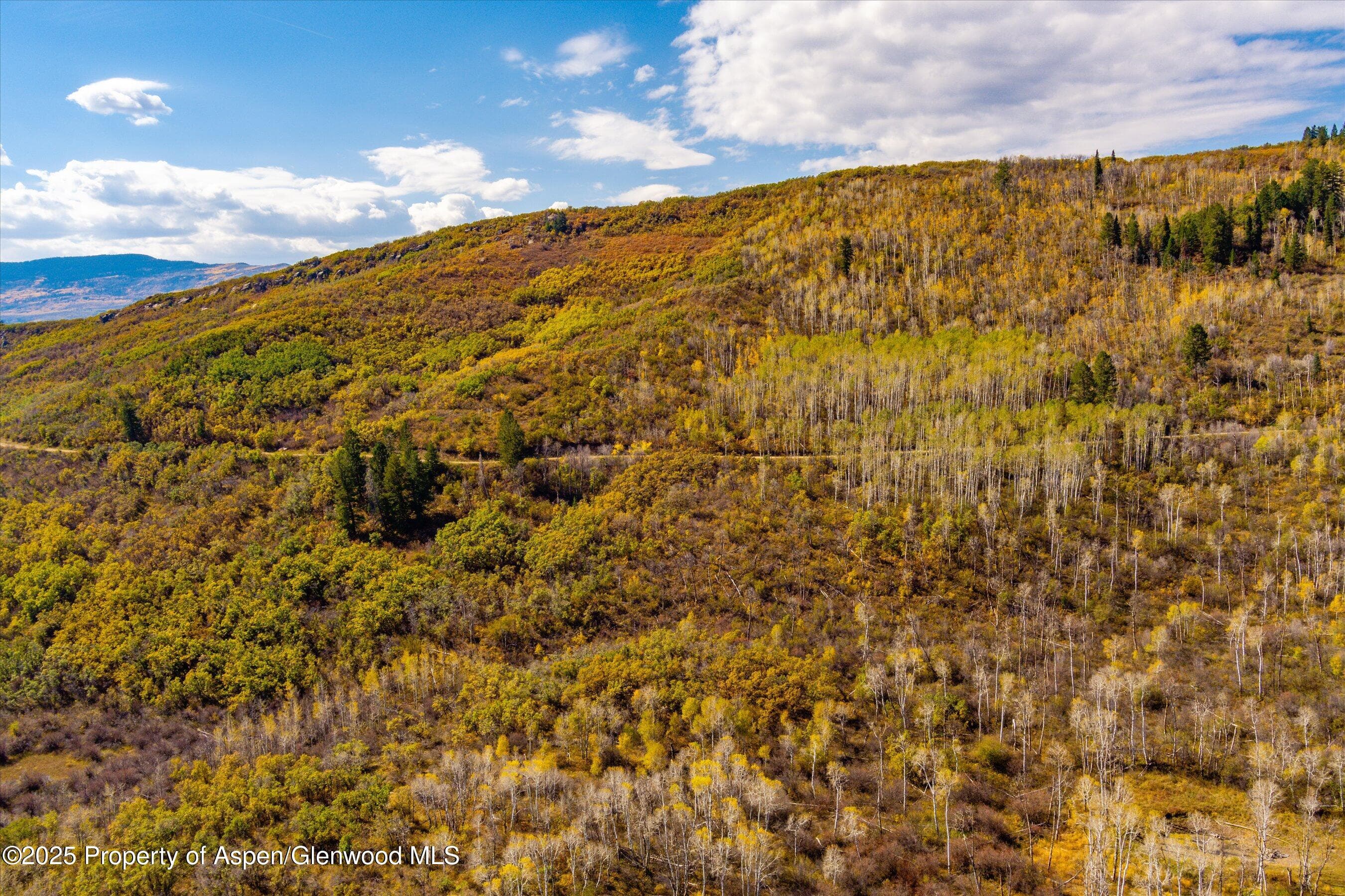 Lot 5 Bear Paw Lane, Glenwood Springs, CO 81601 - Photo 3