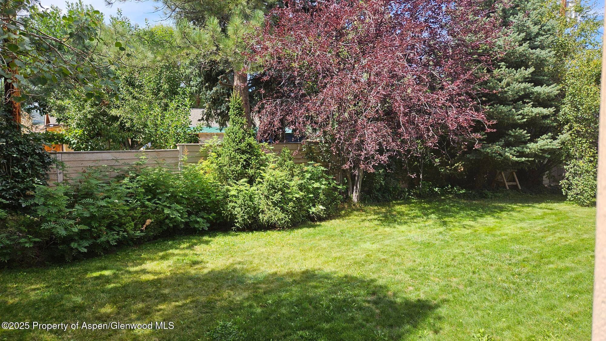 191 Navajo, Carbondale, CO 81623 - Photo 12