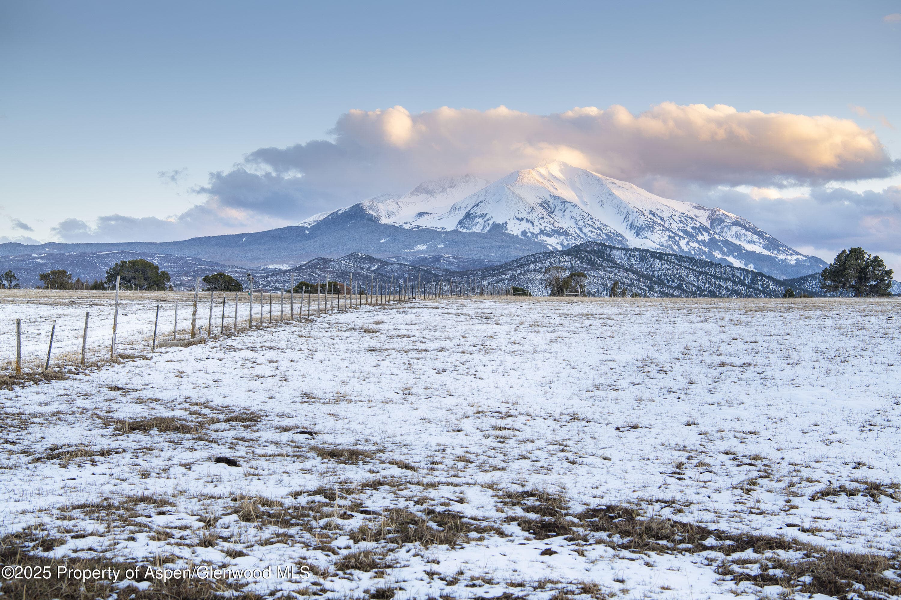 1634 Prince Creek Road, Carbondale, CO 81623 - Photo 18
