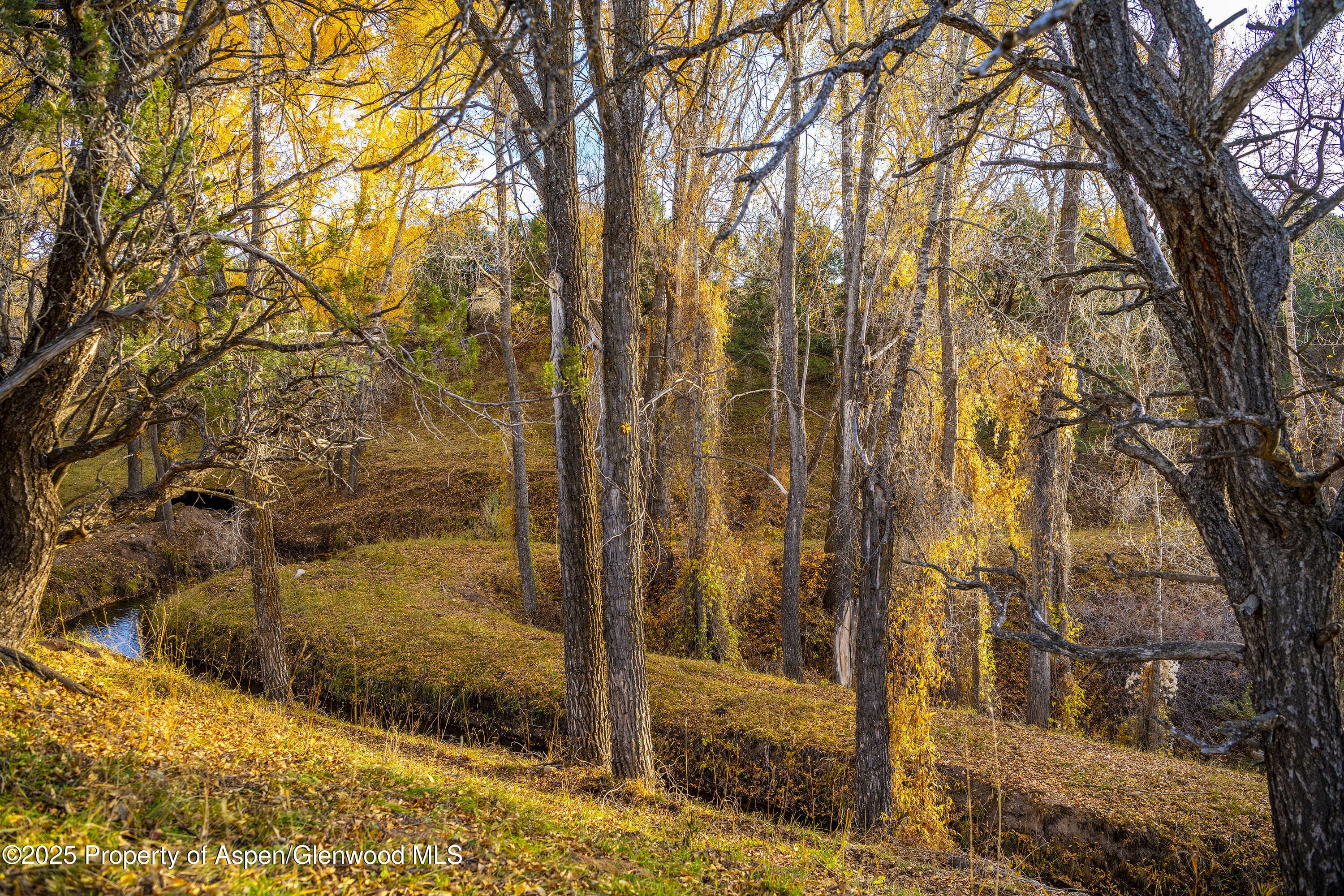1634 Prince Creek Road, Carbondale, CO 81623 - Photo 4