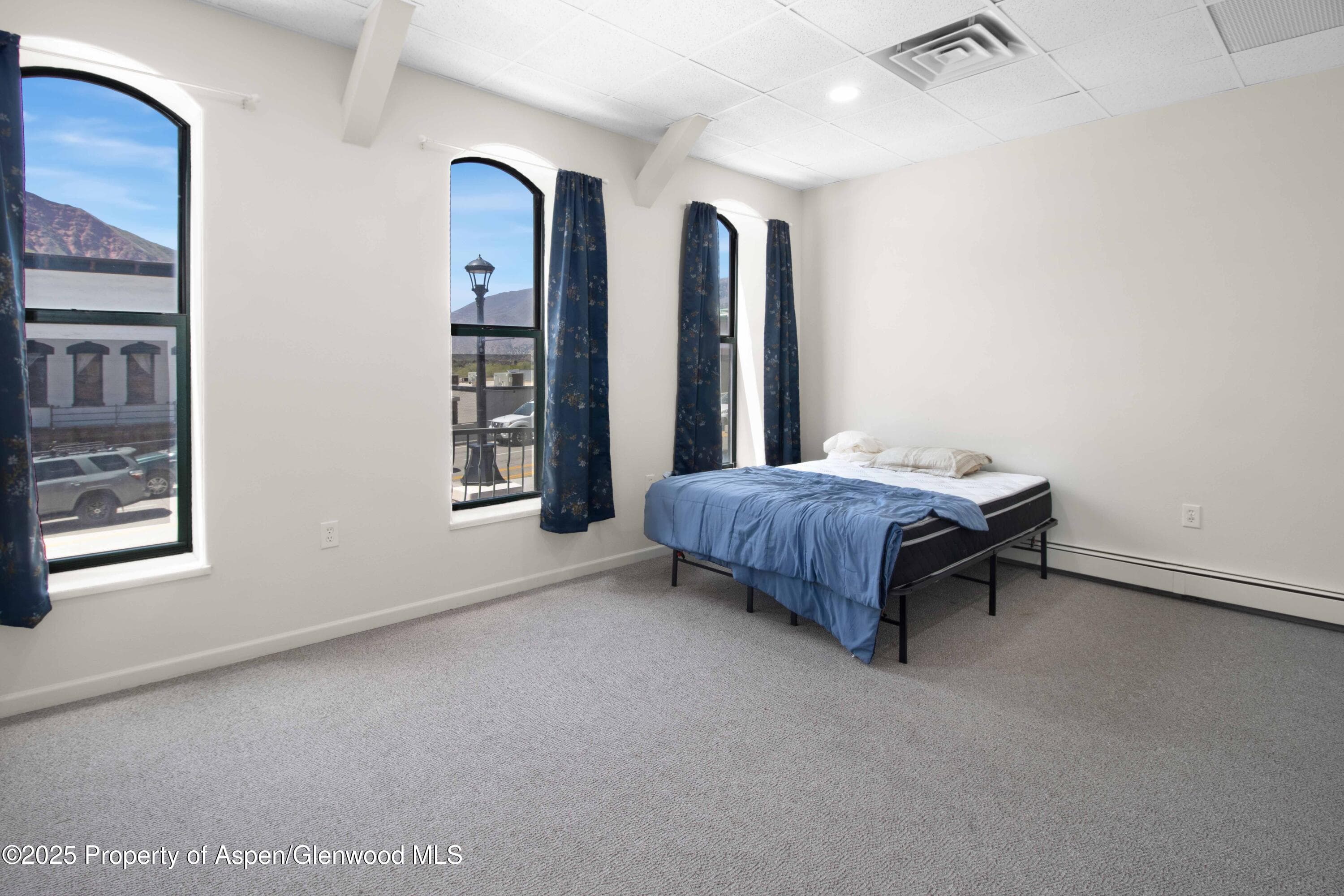 718 Grand Avenue, Glenwood Springs, CO 81601 - Photo 28