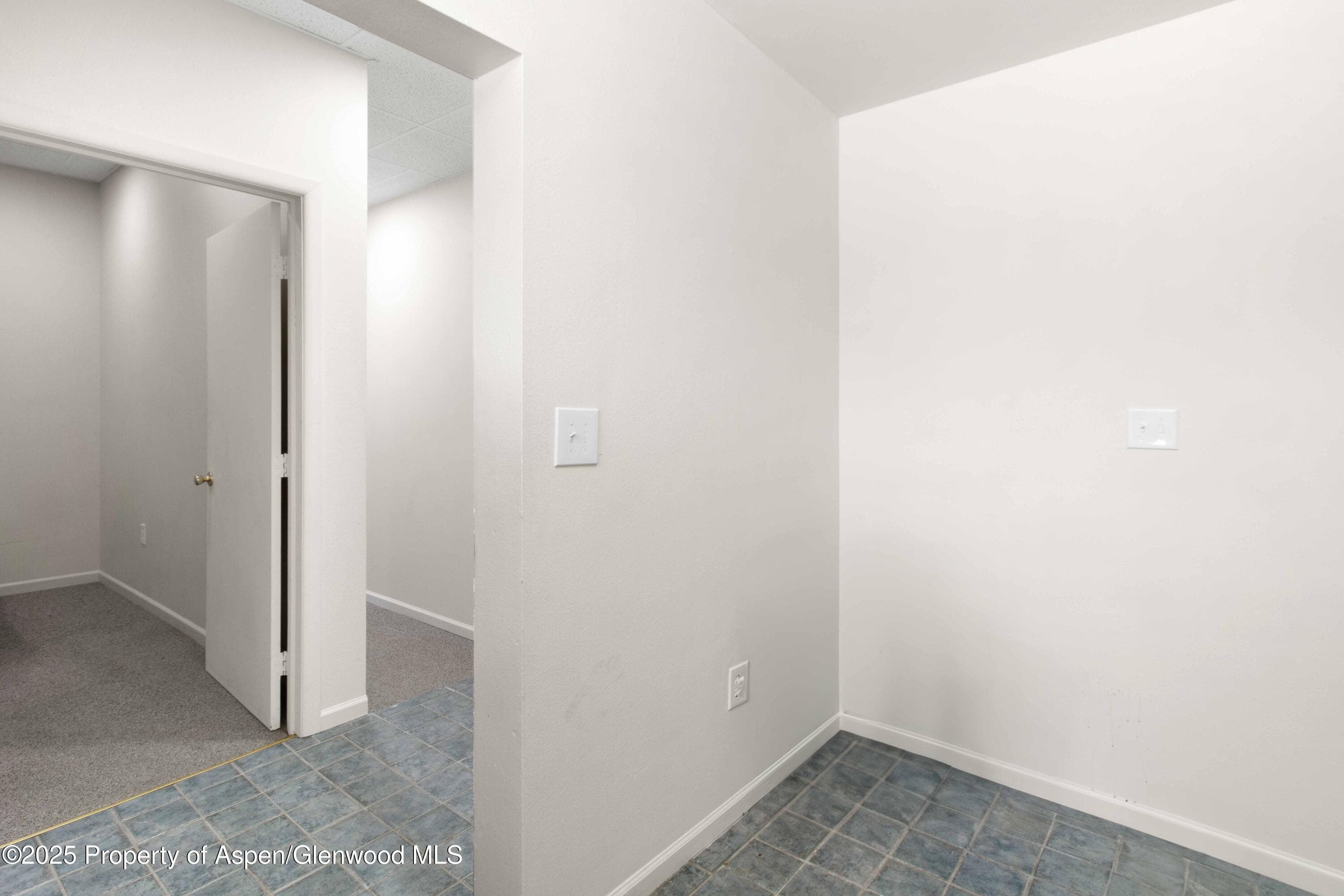 718 Grand Avenue, Glenwood Springs, CO 81601 - Photo 29