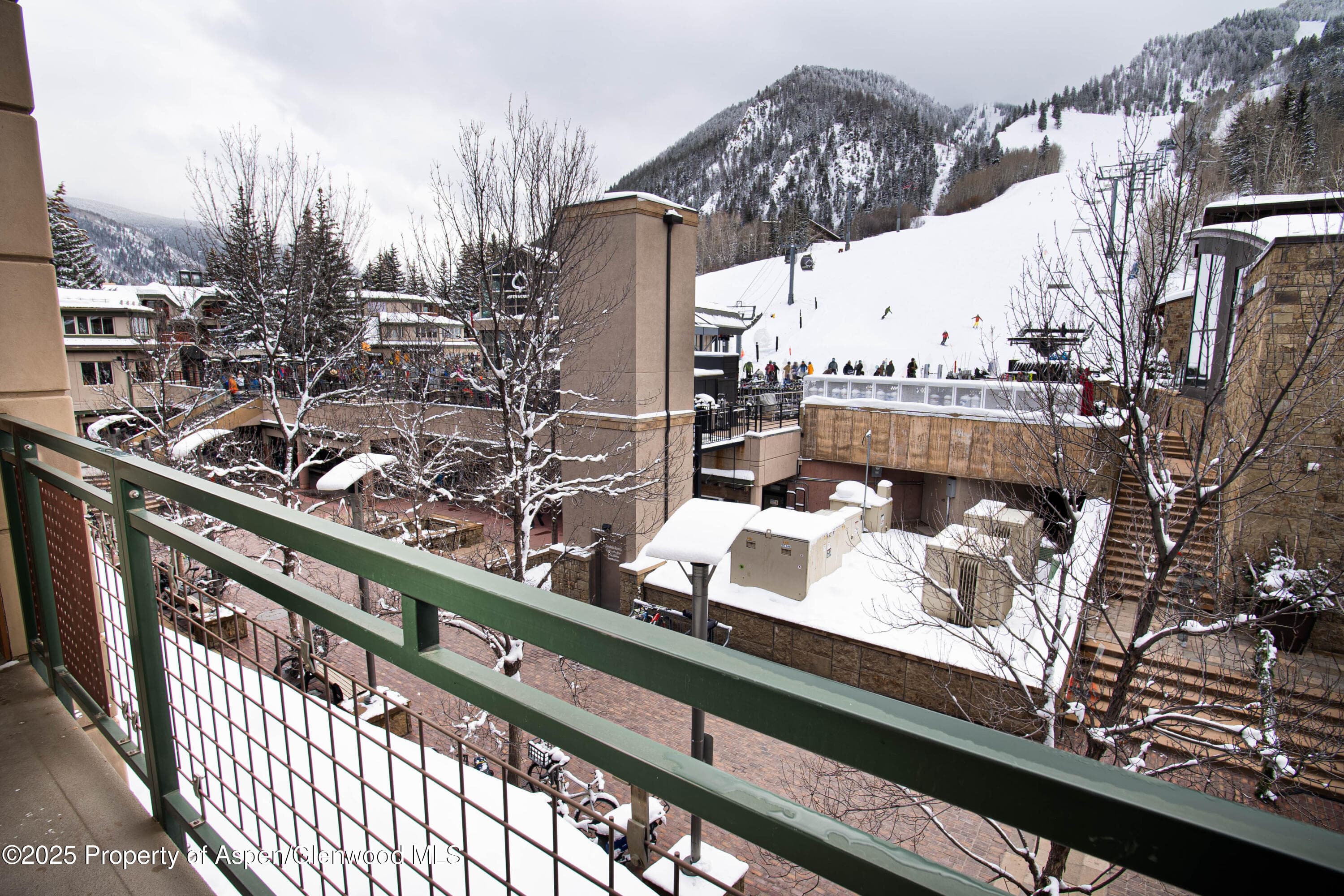 555 E Durant Avenue 3C, Aspen, CO 81611