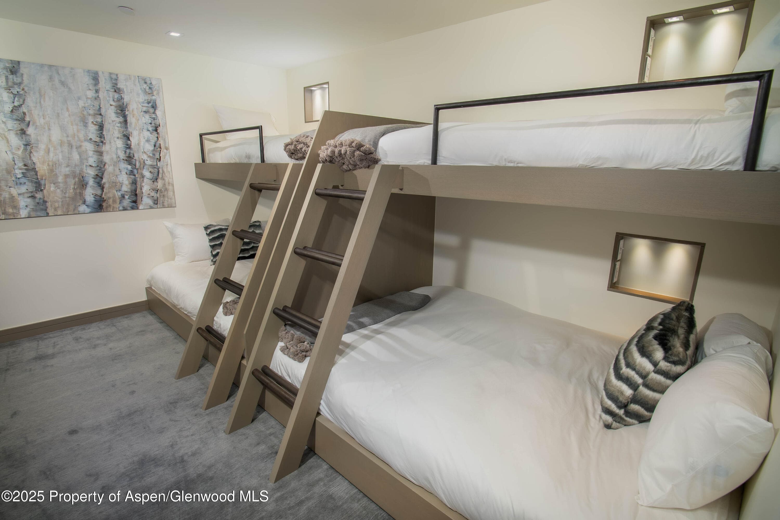 555 E Durant Avenue 3C, Aspen, CO 81611 - Photo 16
